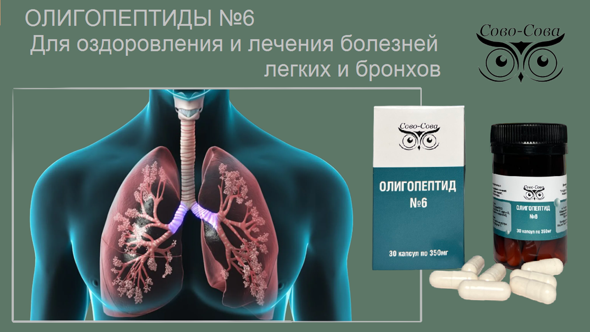 Олигопептид № 6  Для оздоровления и лечения болезней легких и бронхов