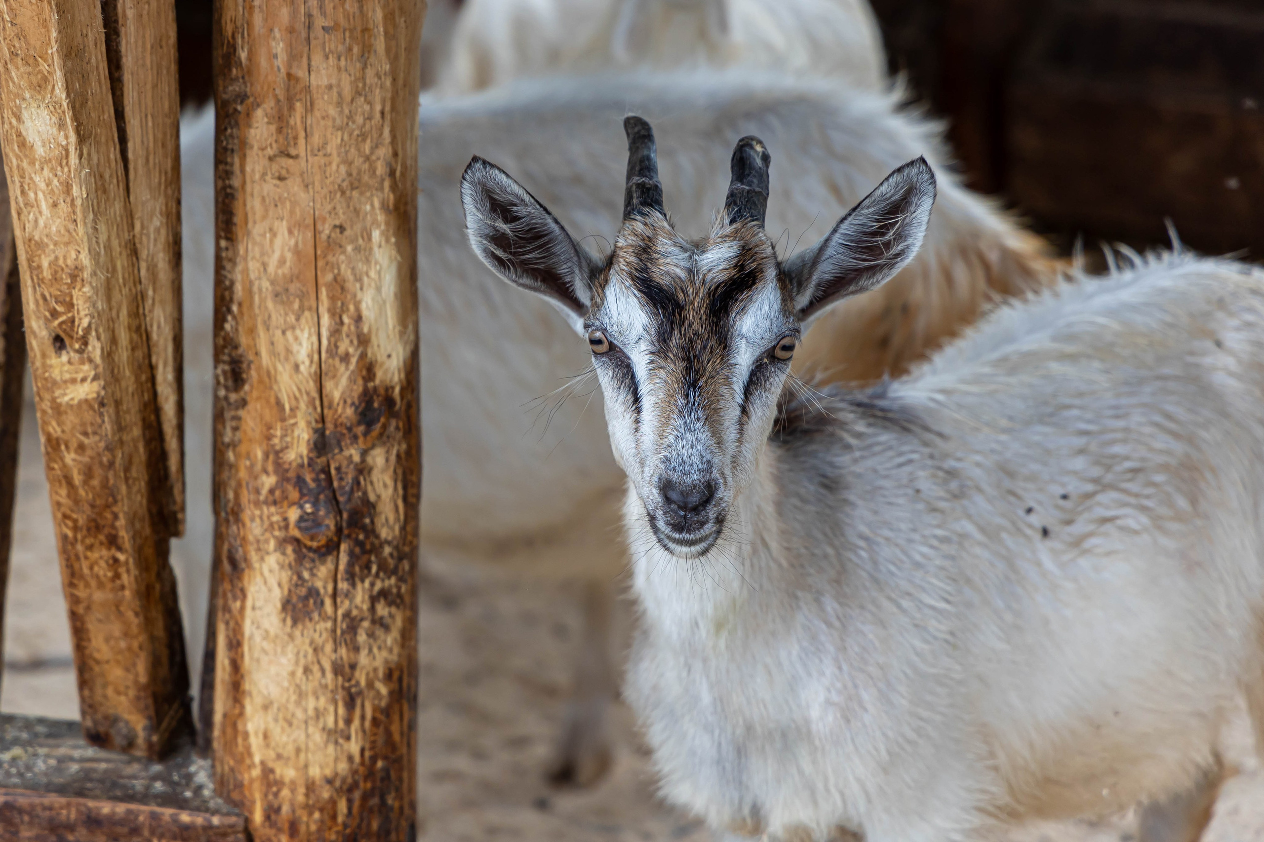 Тeam Building РОТЕКС. Фото и видео съемка Ваших мероприятий