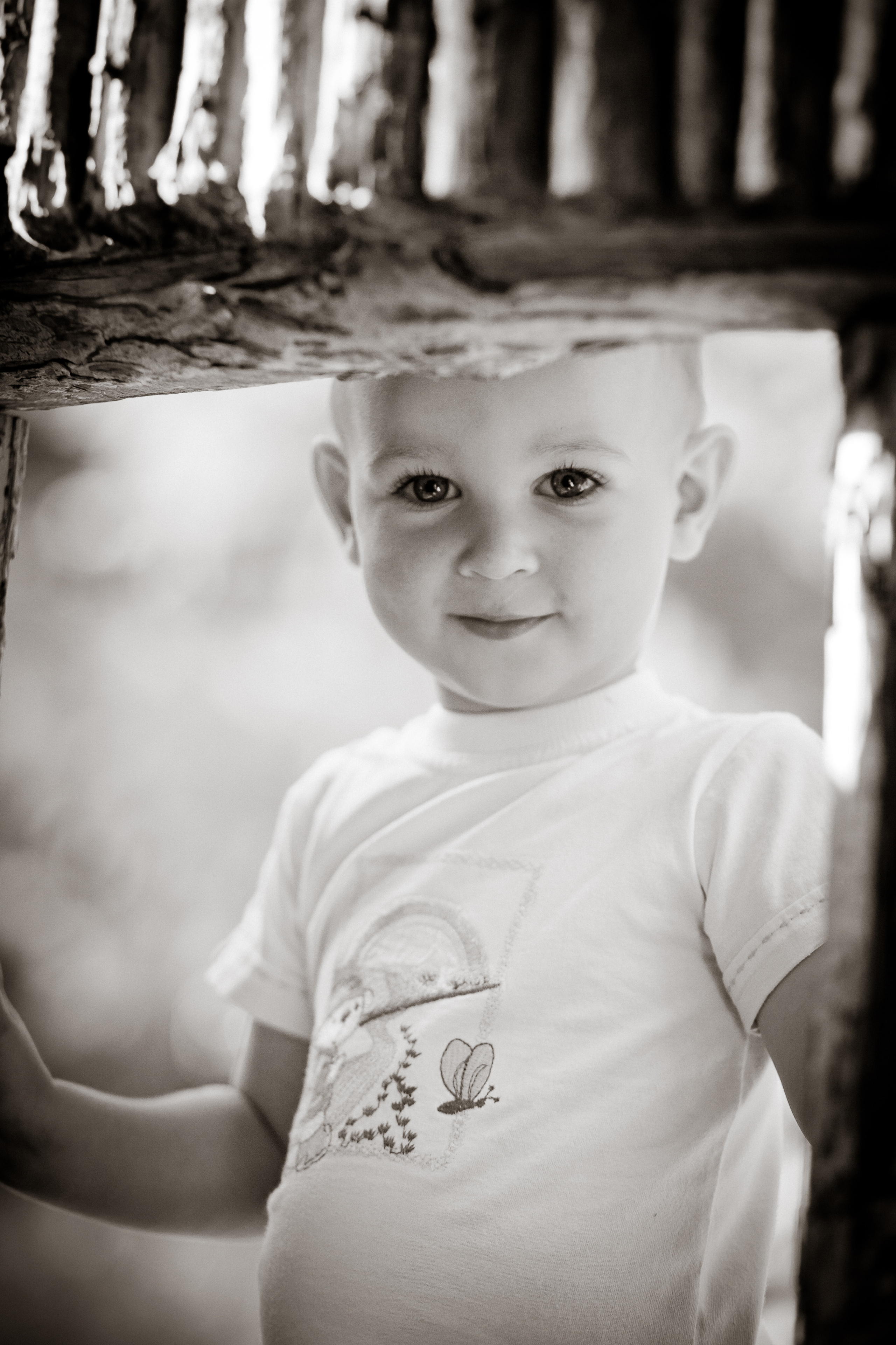 Андрюша и Света+Сергей. Летопись вашей жизни. Фотограф Игорь Иванов