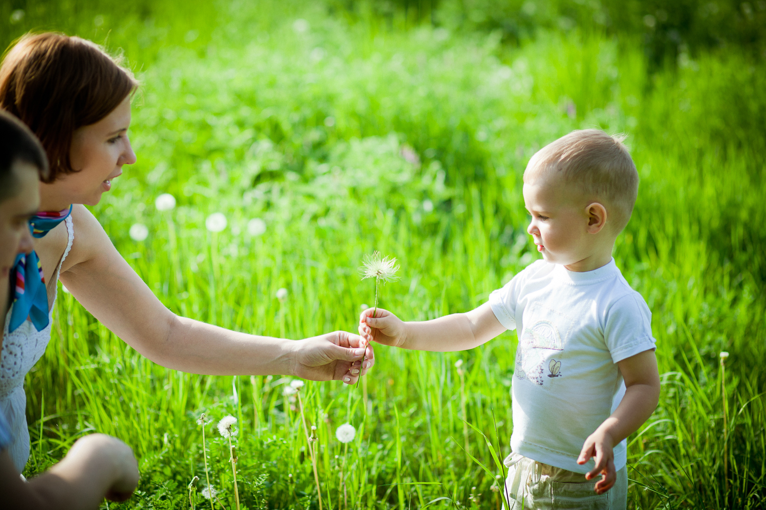 Андрюша и Света+Сергей. Летопись вашей жизни. Фотограф Игорь Иванов