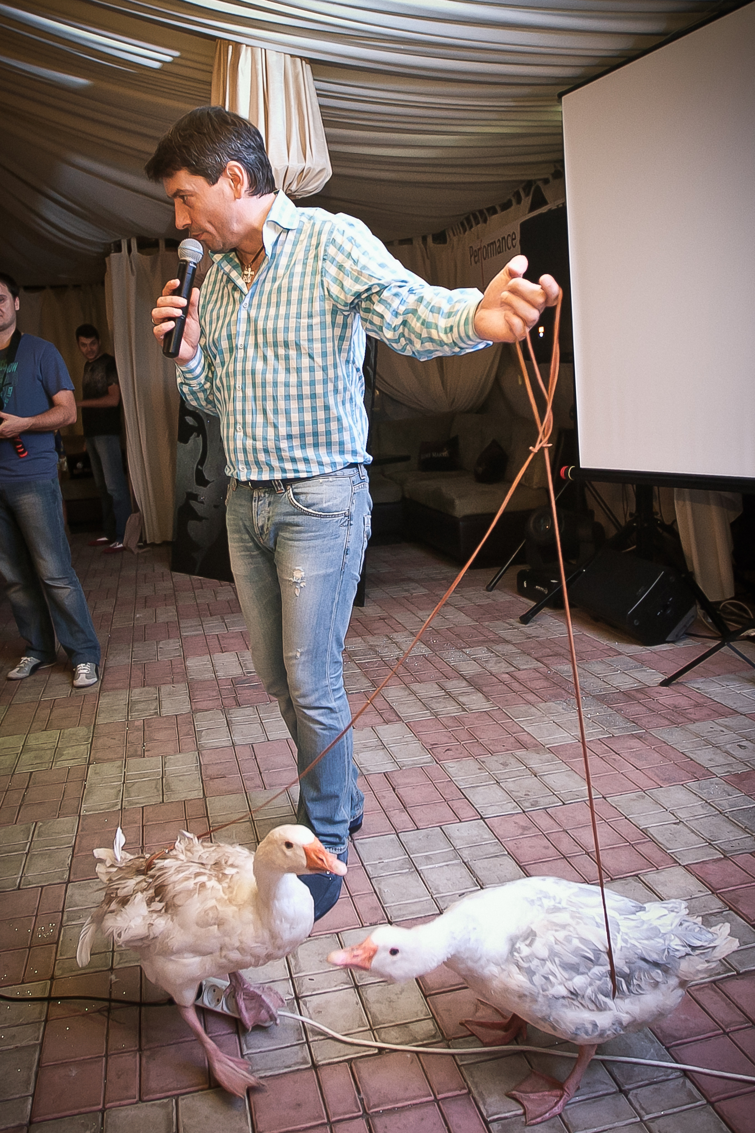 День рождения очаровательных Ирины и Юлии. Летопись вашей жизни. Фотограф Игорь Иванов