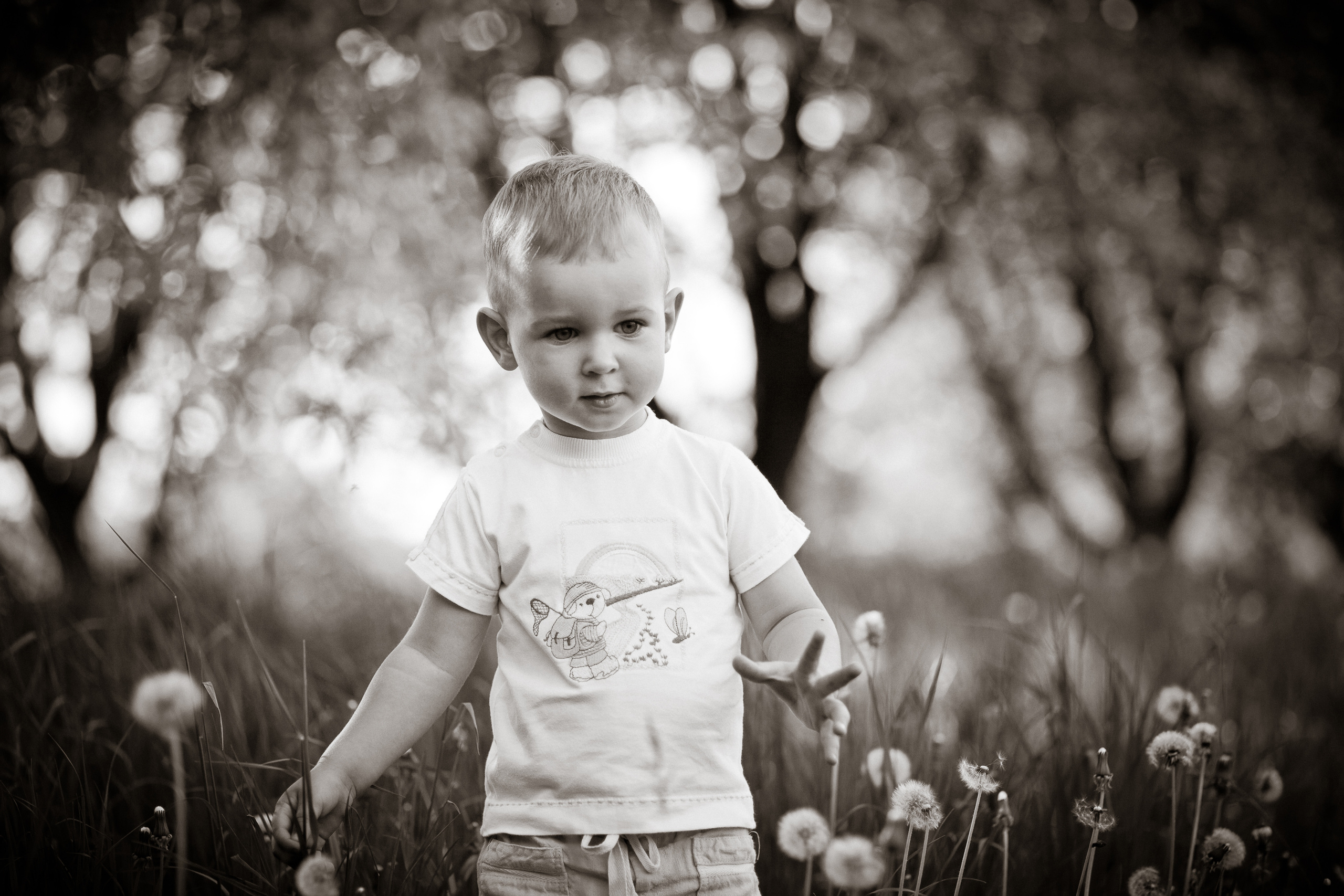 Андрюша и Света+Сергей. Летопись вашей жизни. Фотограф Игорь Иванов