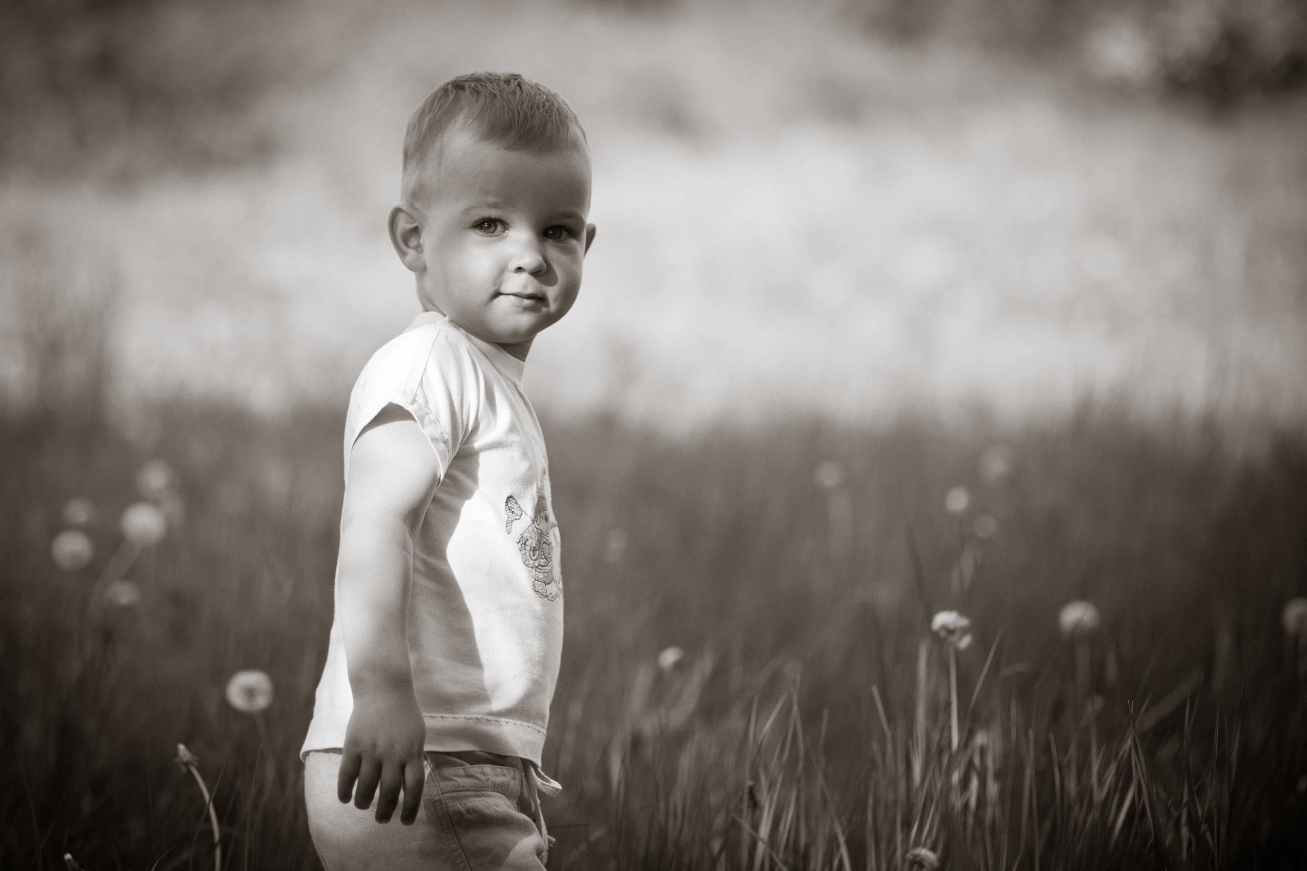 Андрюша и Света+Сергей. Летопись вашей жизни. Фотограф Игорь Иванов