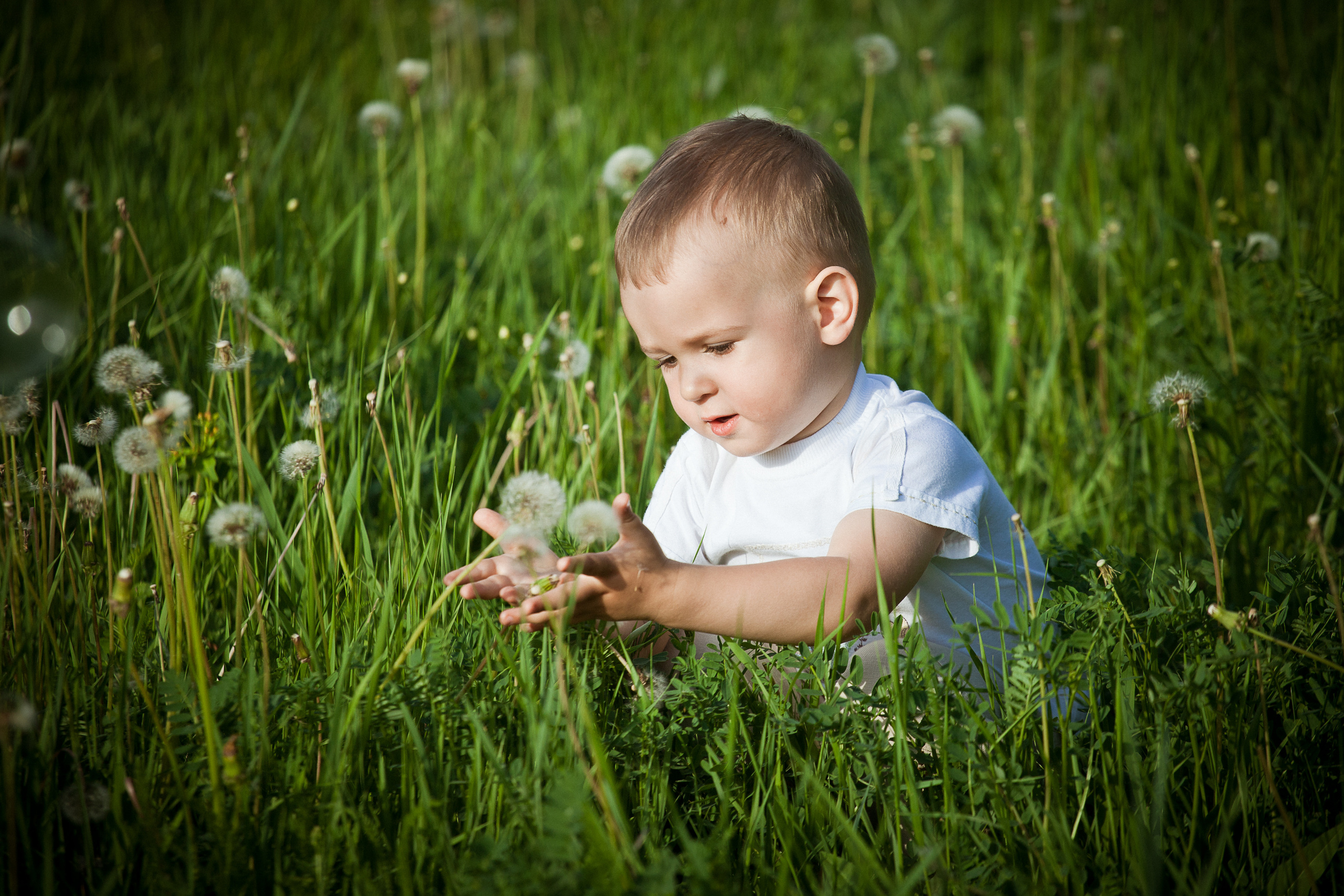 Андрюша и Света+Сергей. Летопись вашей жизни. Фотограф Игорь Иванов