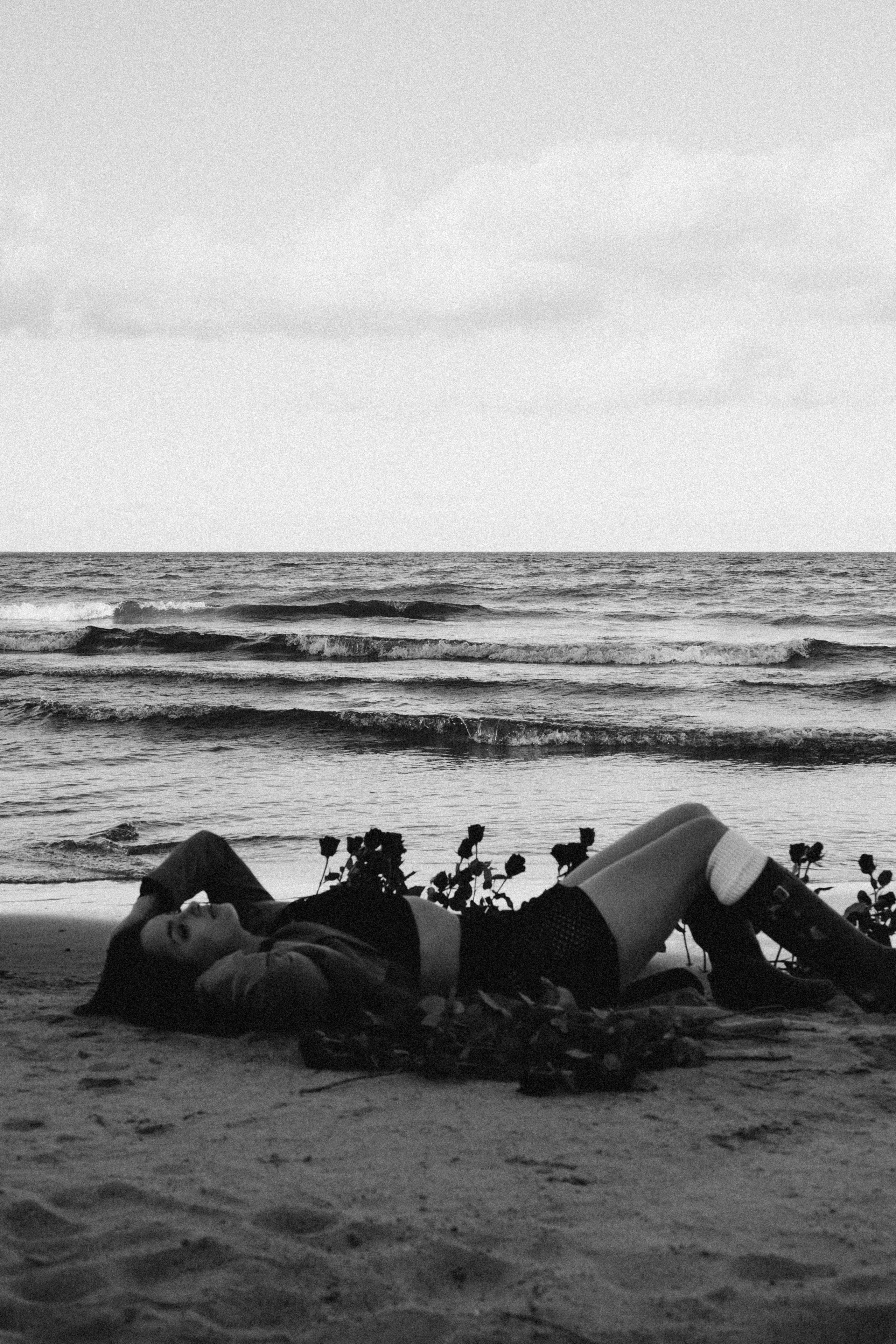 Розы. Профессиональный фотограф, Санкт-Петербург — Виктория Богомолова