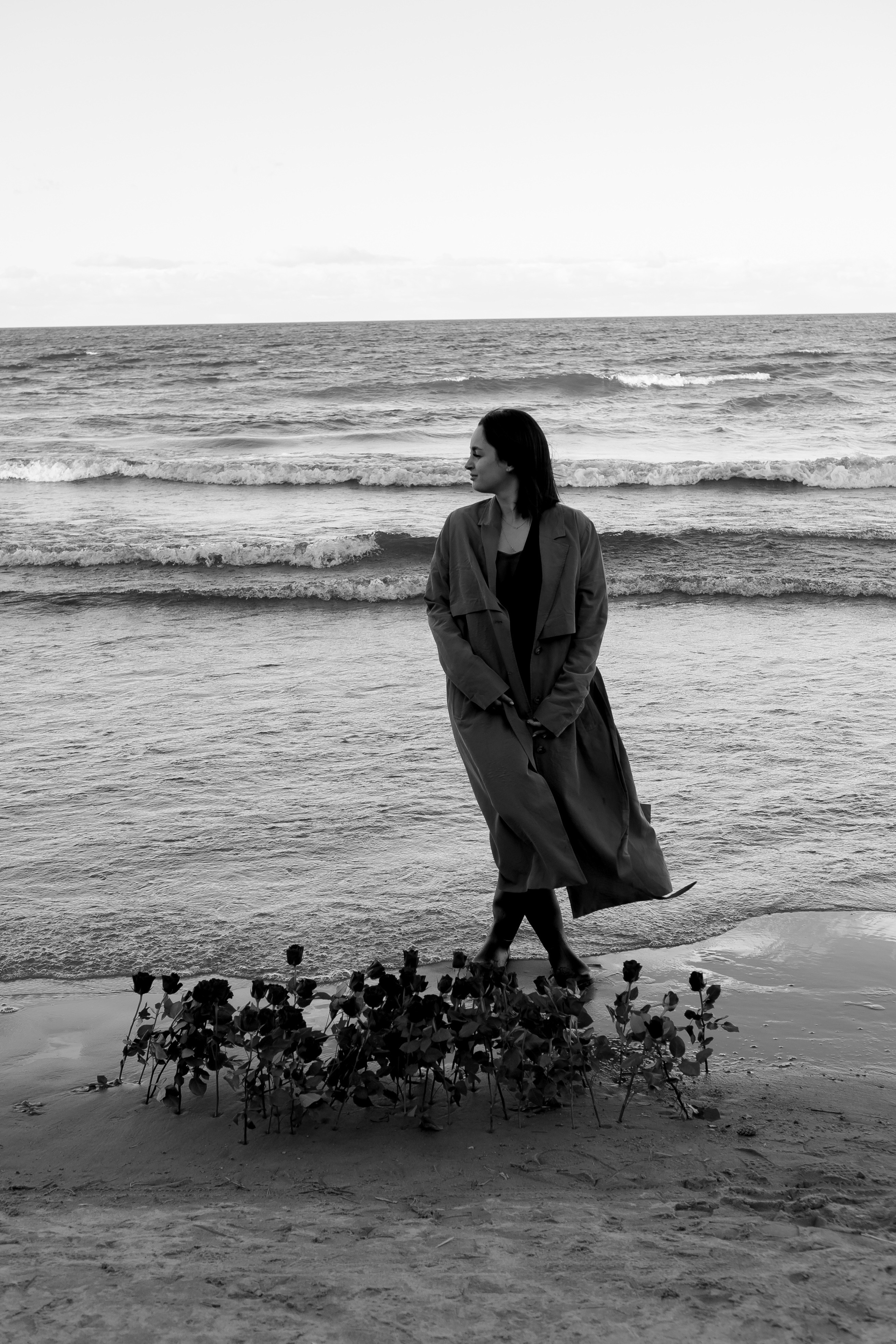 Розы. Профессиональный фотограф, Санкт-Петербург — Виктория Богомолова