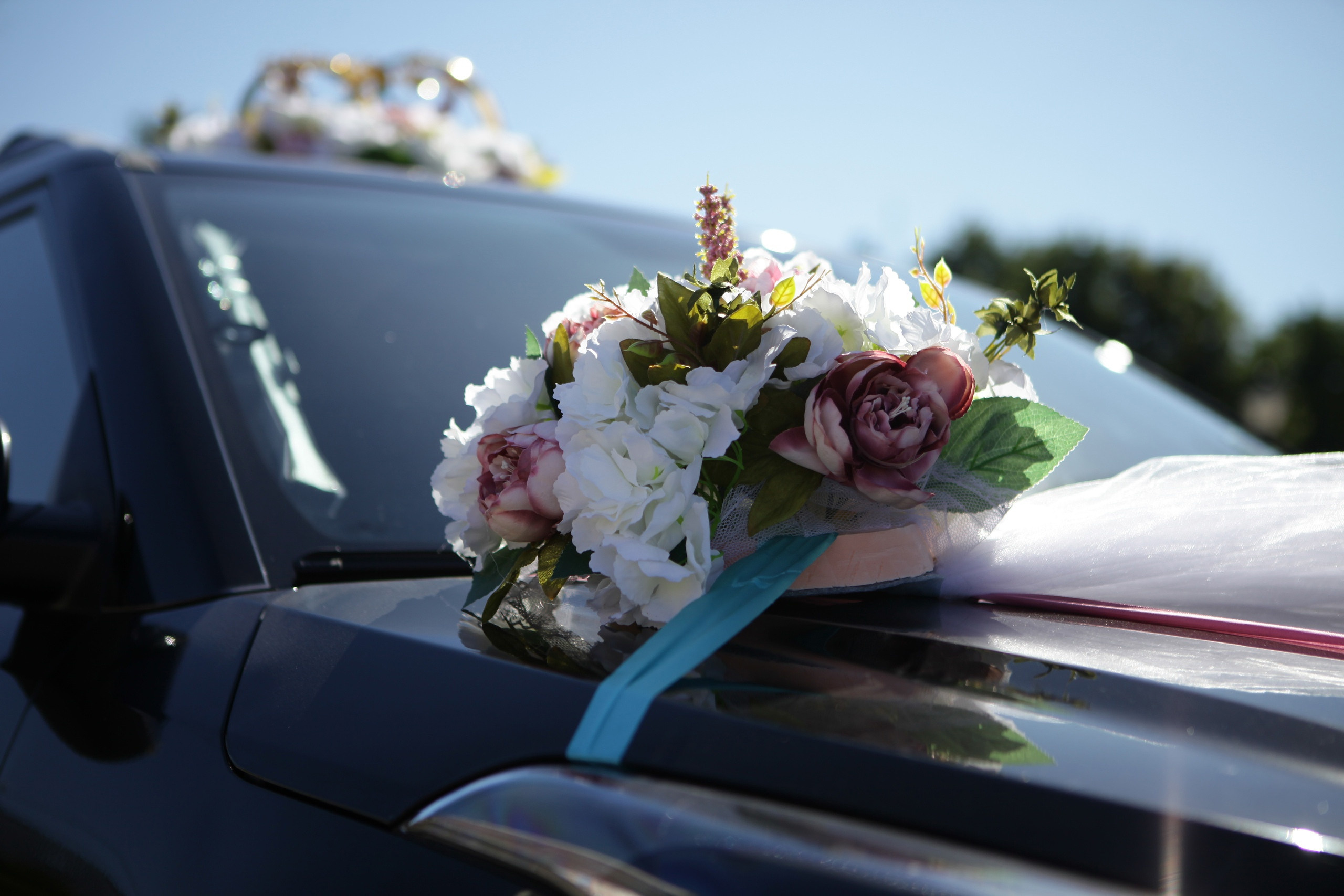 Станислав и Диана. Репортажный, семейный, свадебный, портретный фотограф