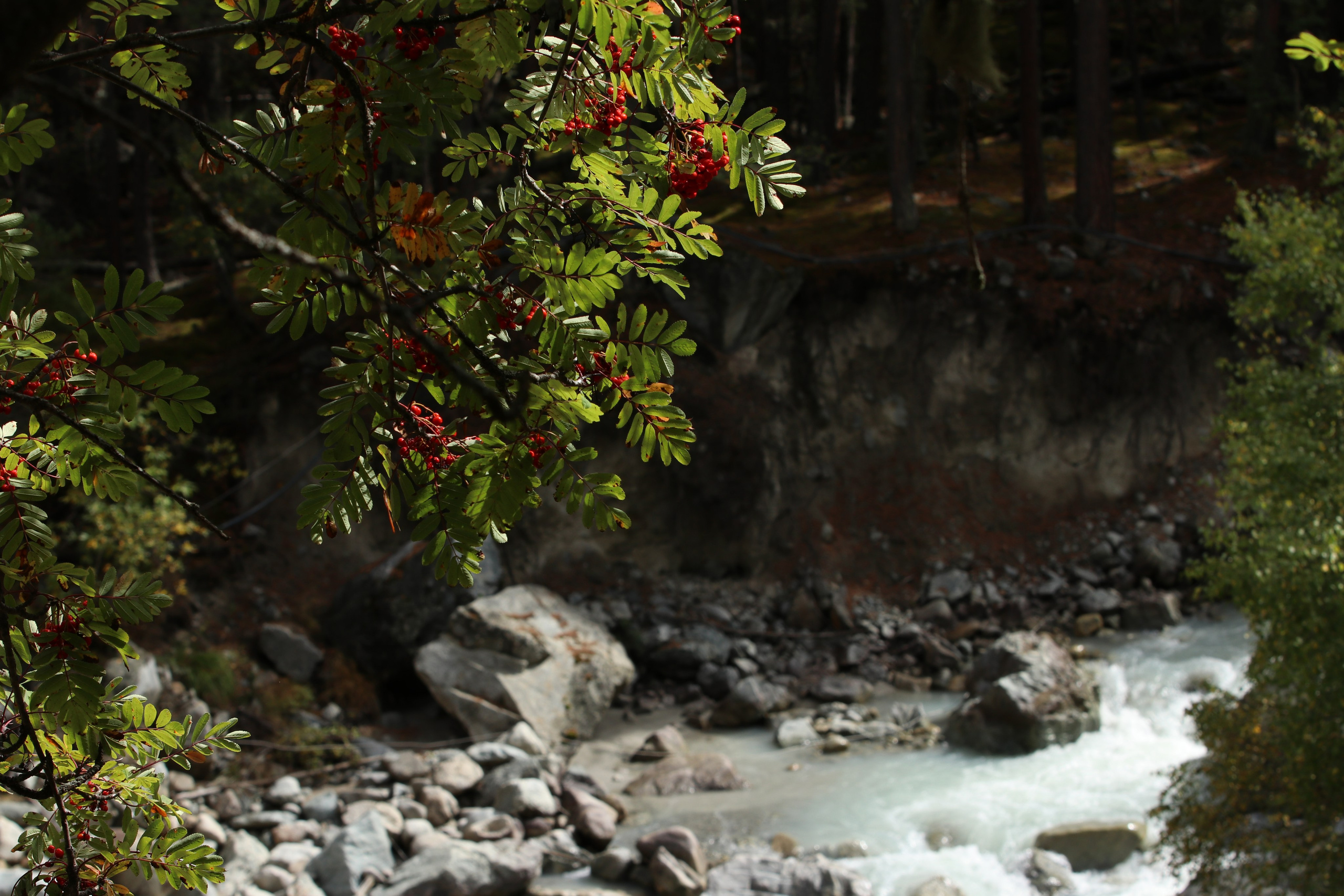 Приэльбрусье. Сентябрь 2024. Путешественник-фотограф из Санкт-Петербурга Татьяна Свистулина