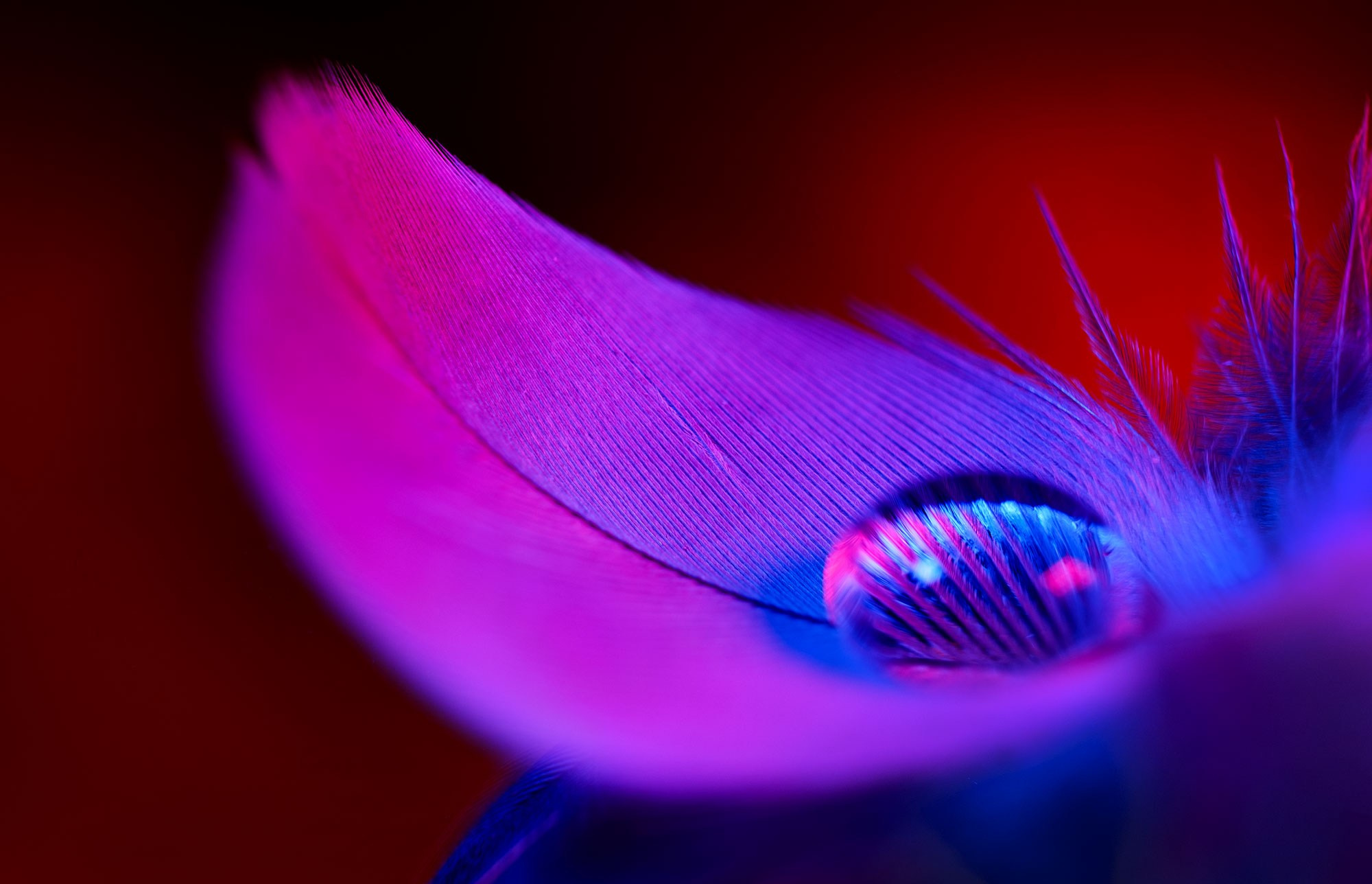 Макросъемка