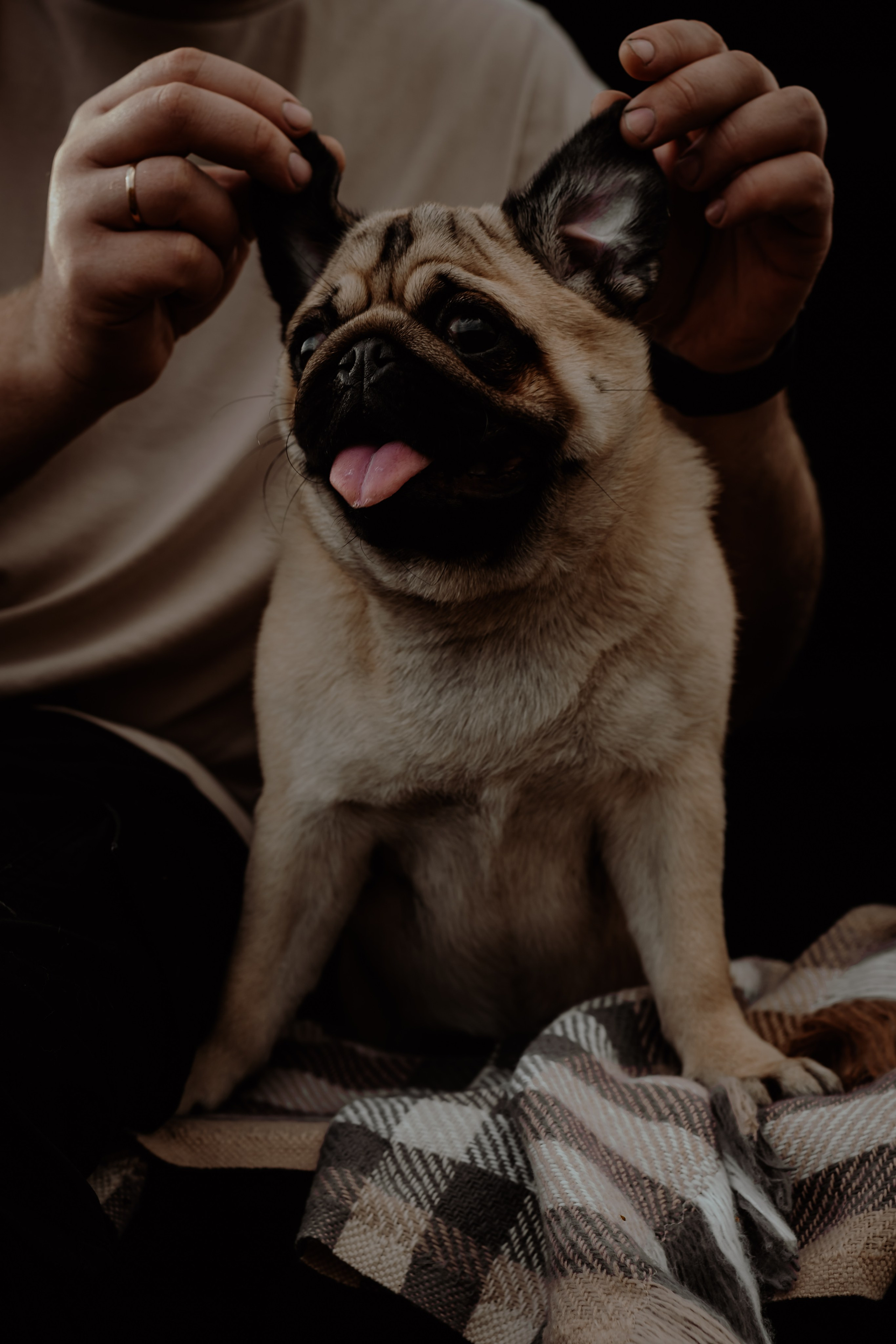 Татьяна и Алексей. Свадебный фотограф Челябинск