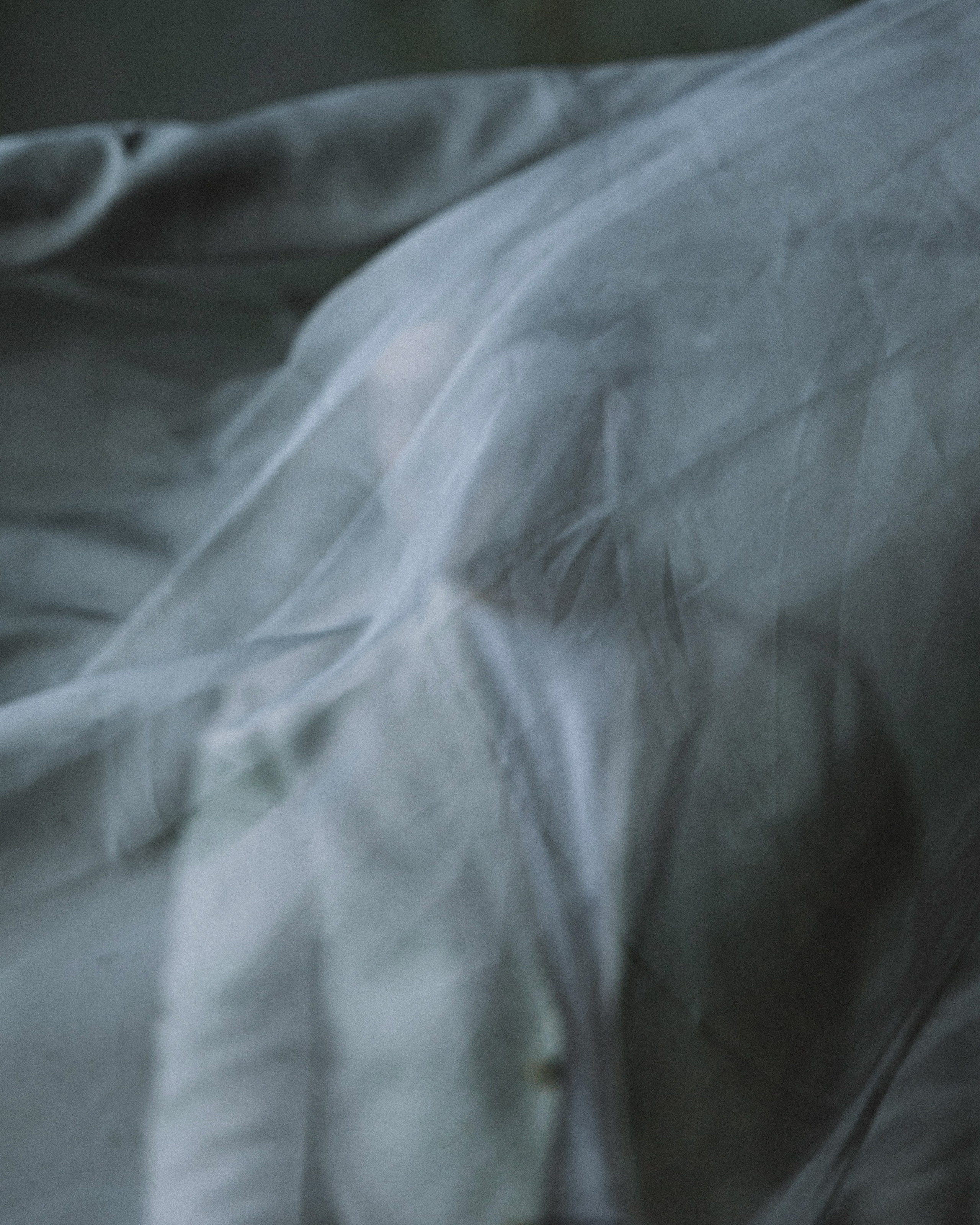 Михаил Тройник. Профессиональный фотограф в Москве