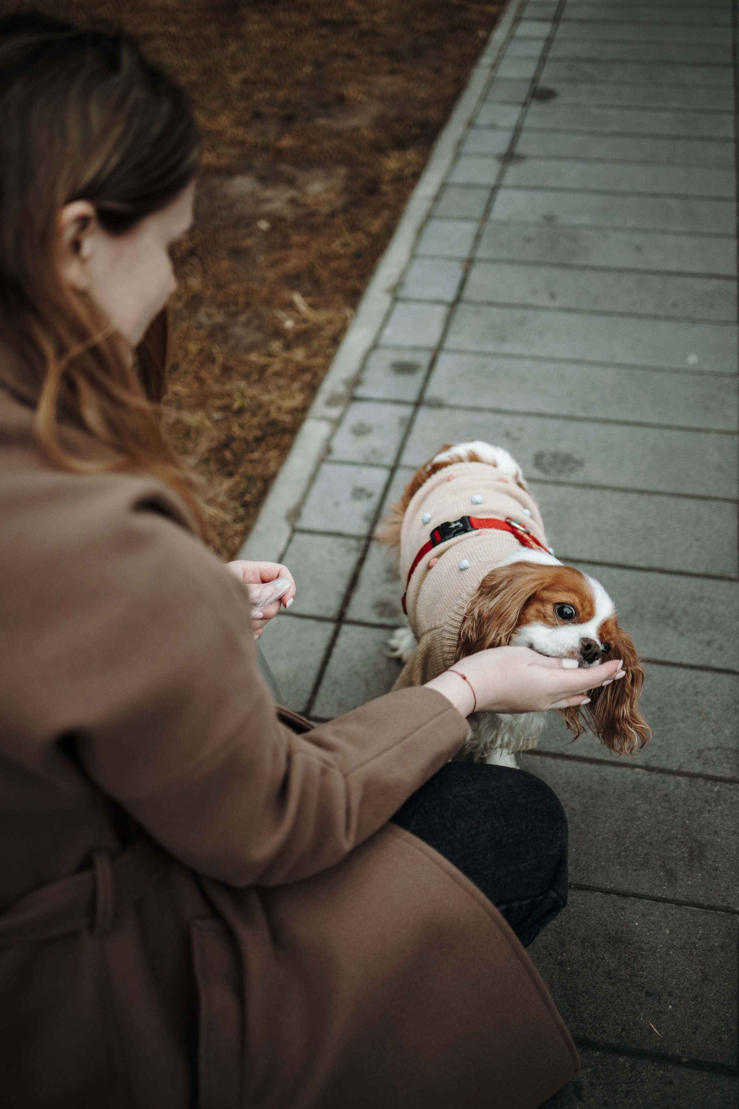 Любовь и Альтаир