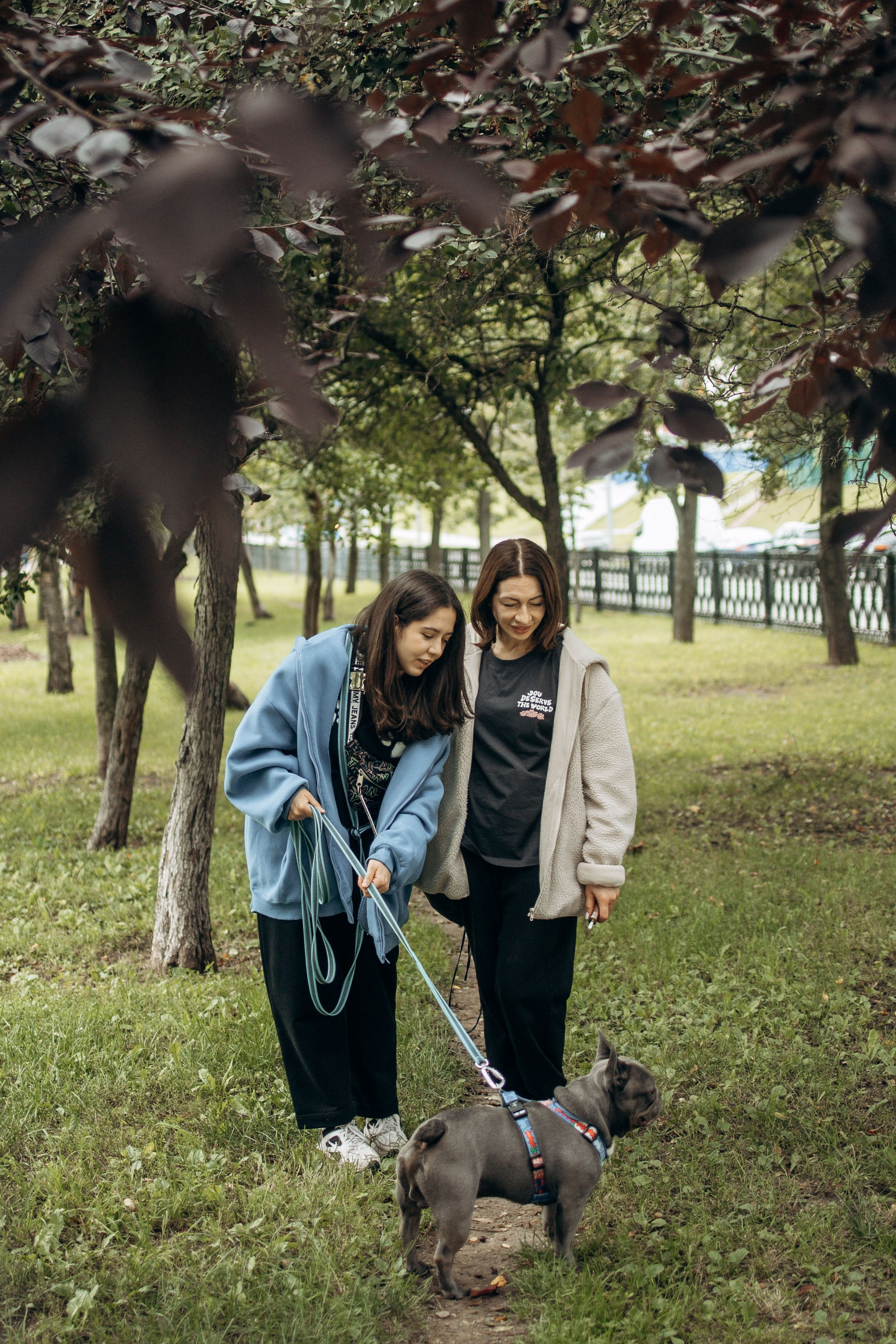 Грей и его семья