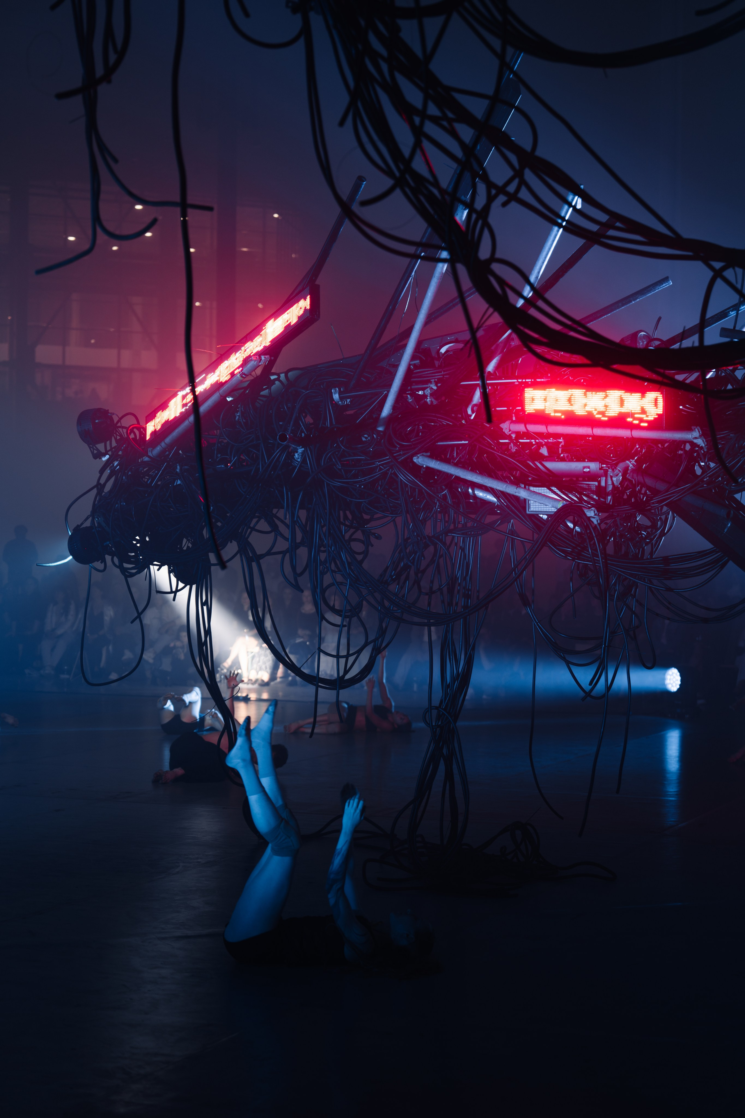 PERFORMA, The Hour of the Horse. @tomrus: Рустам Шагиморданов — фотограф