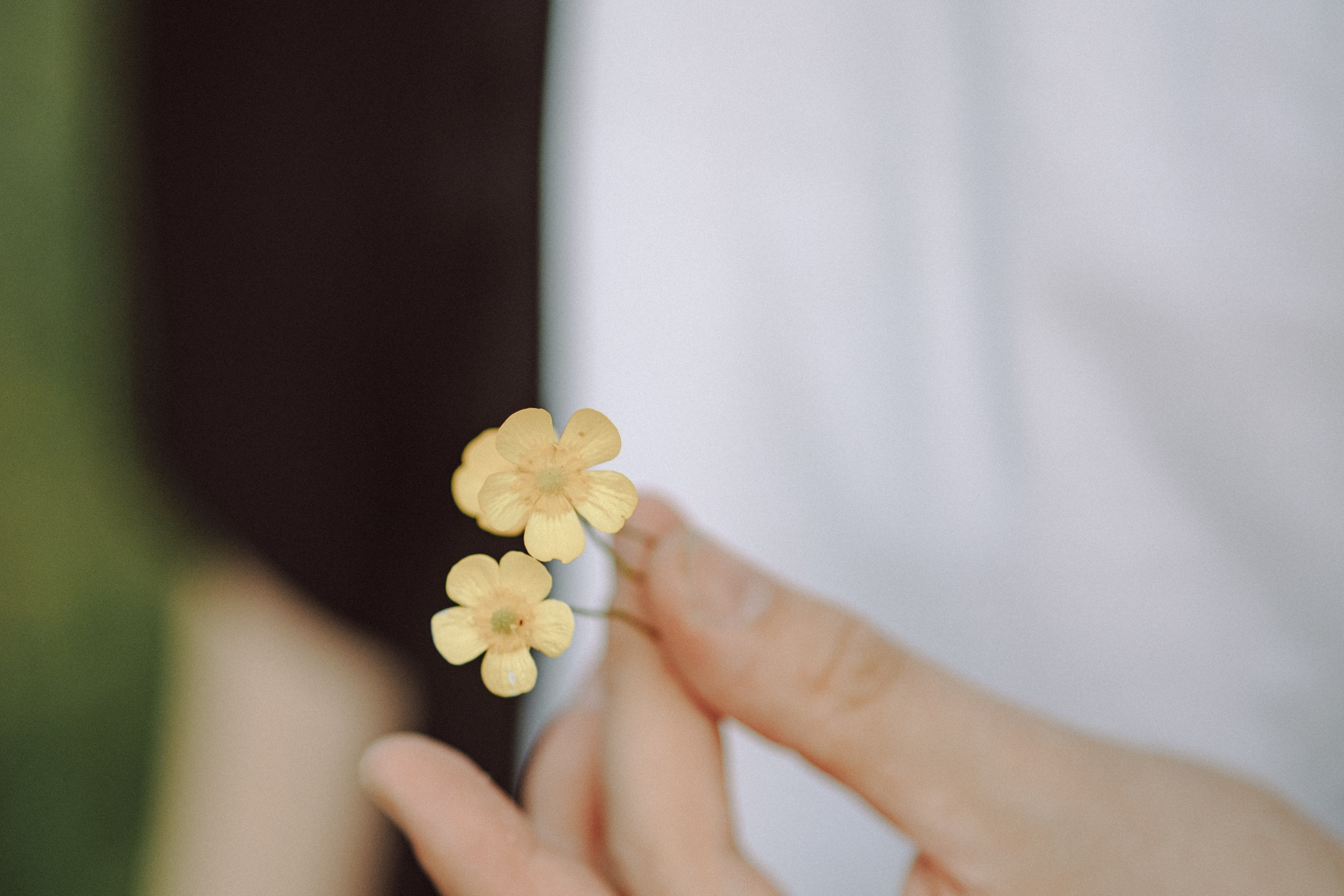 . Фотоёжъ | P H O T O E Z H O G R A P H Y