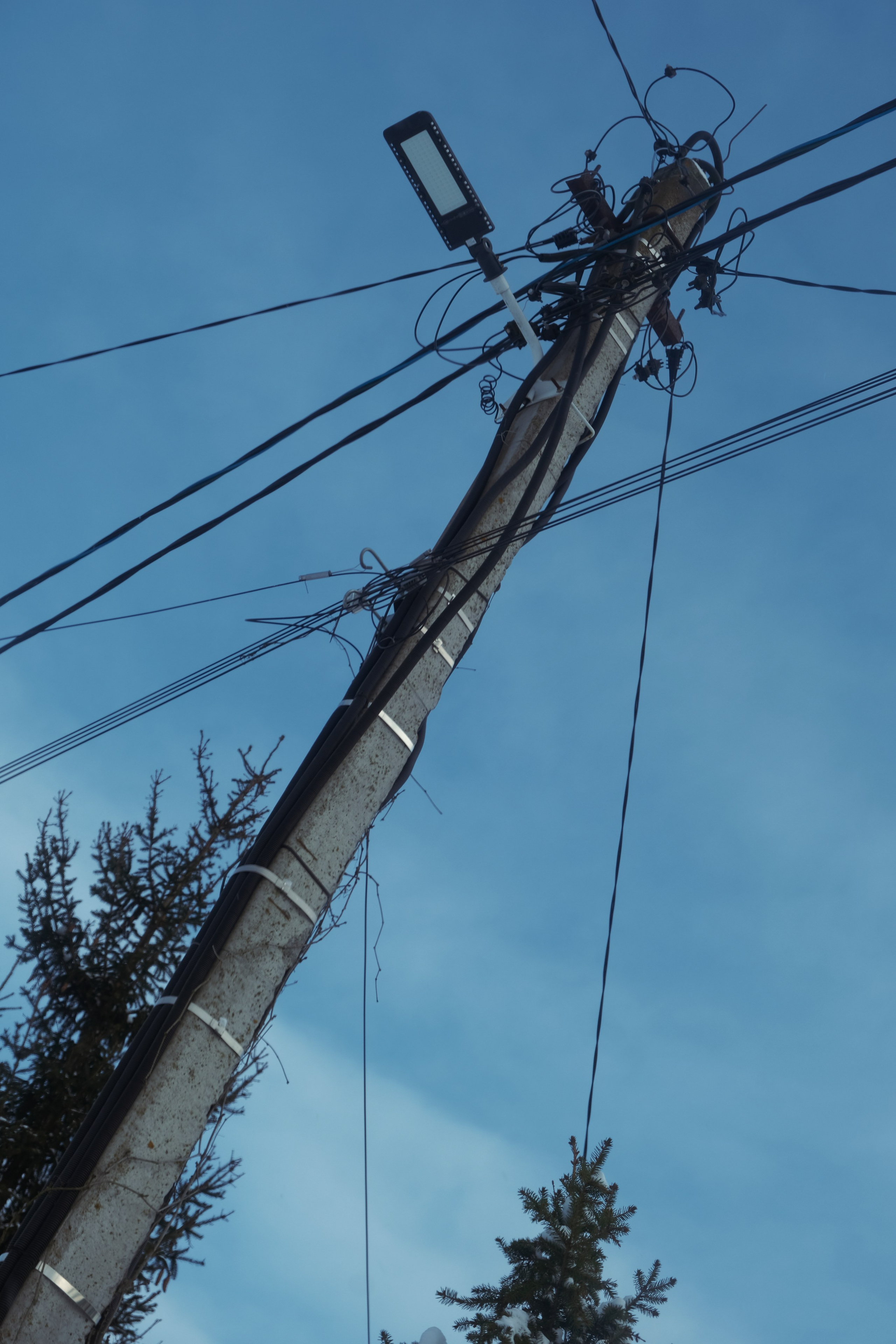 Под Москвой. Фотограф Настя Лев