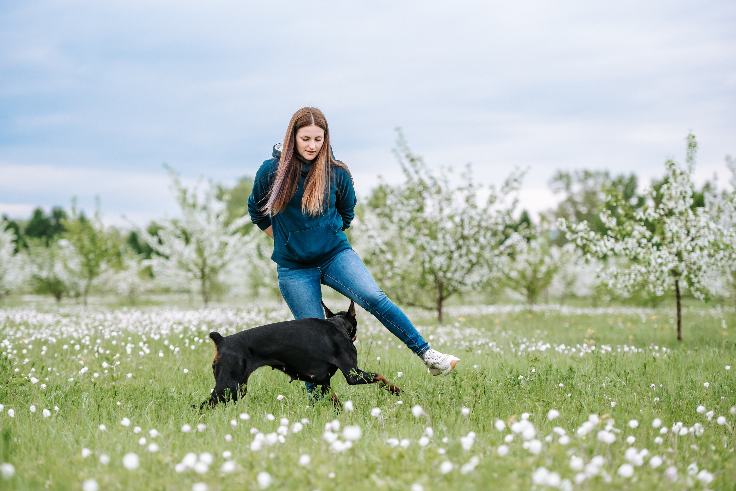 Цветение с доберманами. Фотограф Диана Оленина Красноярск / Братск
