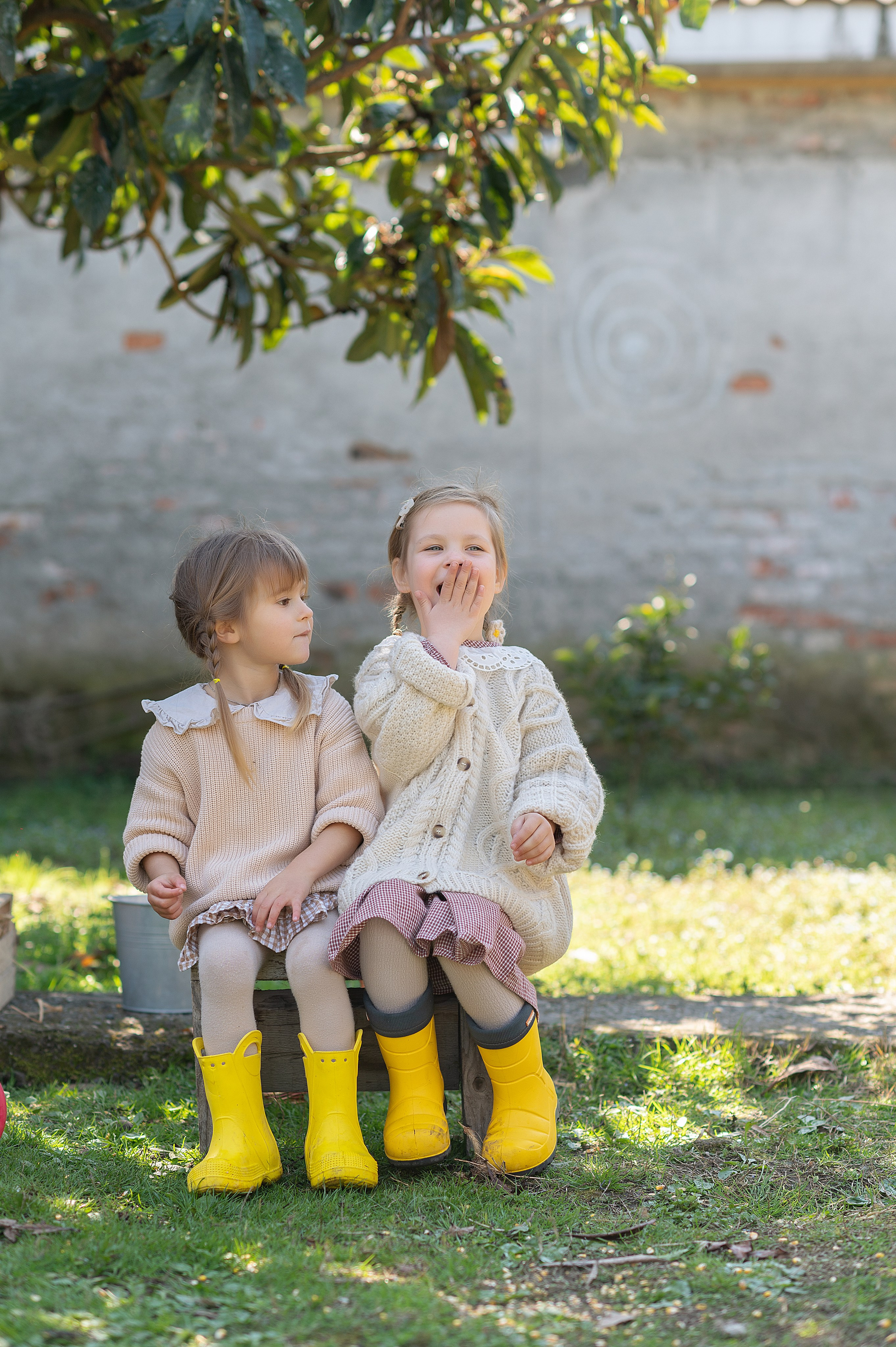 Курочки. Детский фотограф Абхазия