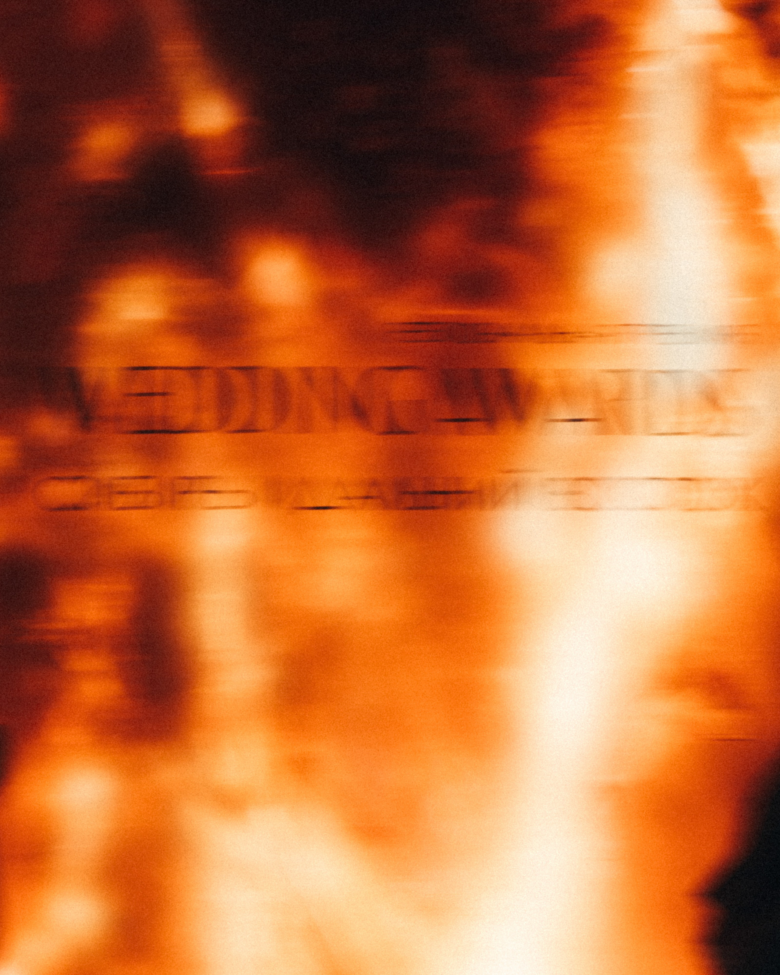 WASAFE 2025 by @alexandradmitrievaph. Свадебный фотограф @alexandradmitrievaph