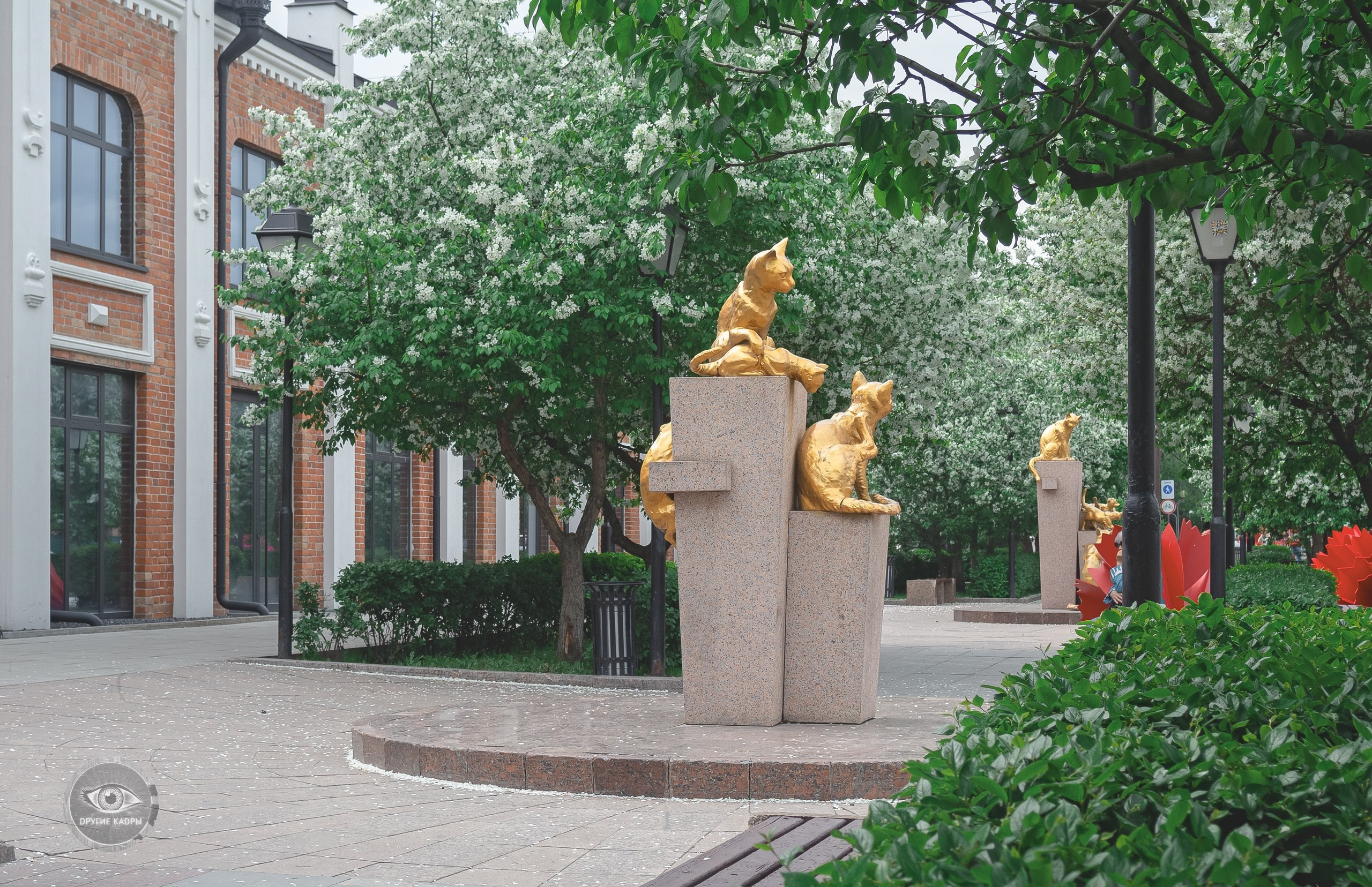 Краеведческие записки. Выпуск 1