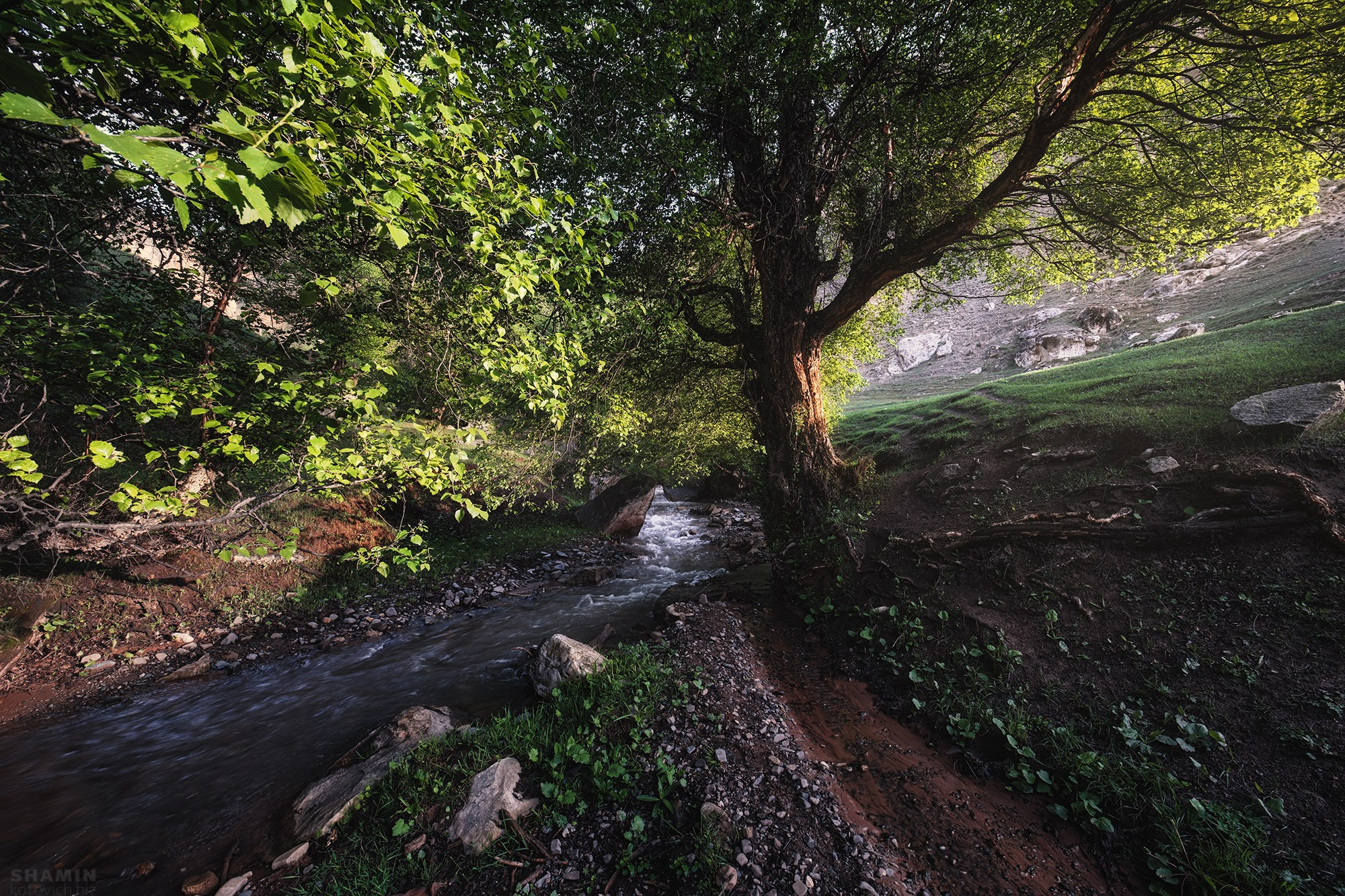 Кыргызстан лето 2026 | Фотограф Дмитрий Купрацевич. Дмитрий Купрацевич профессиональный пейзажный и travel-фотограф