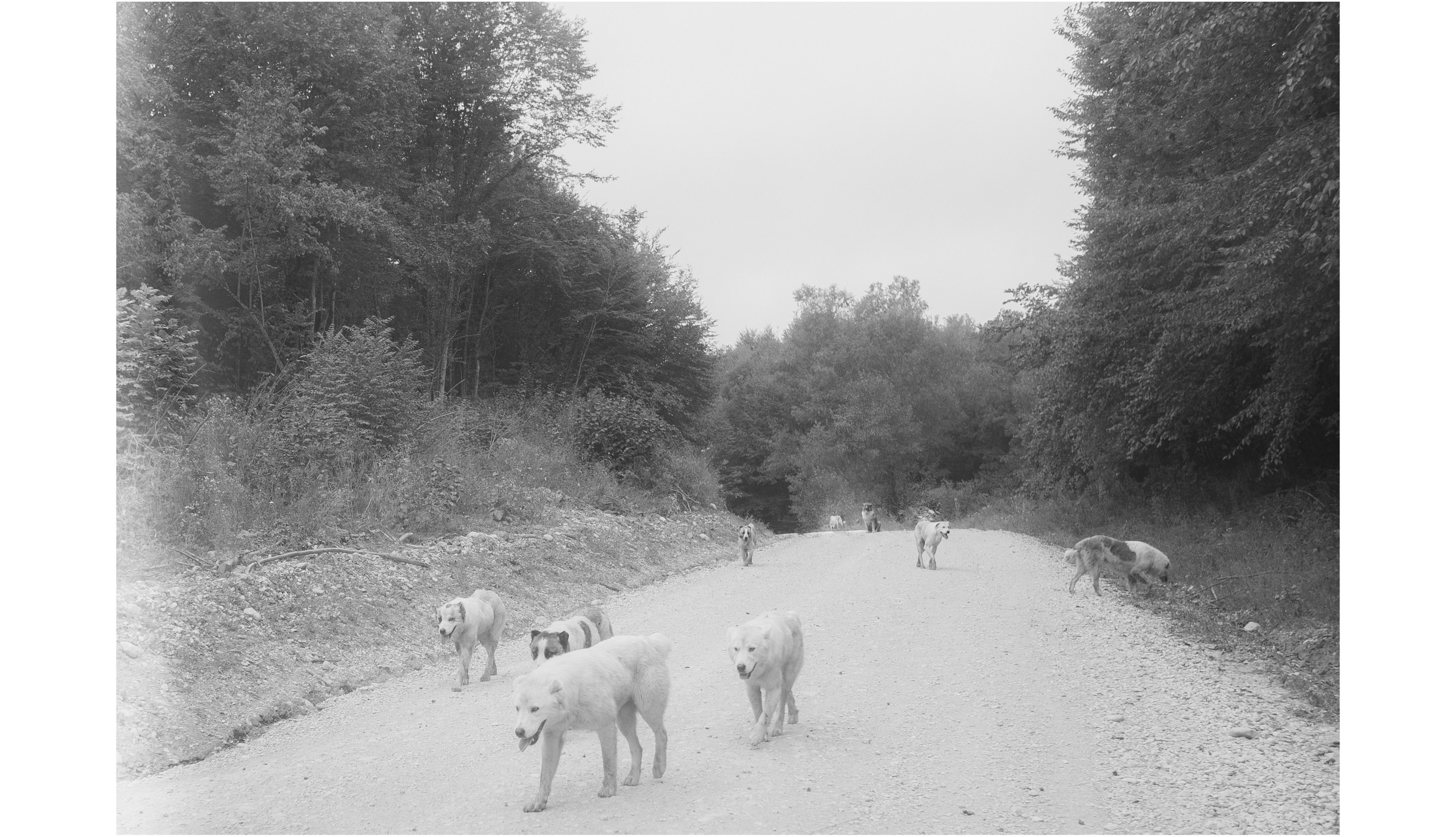 Интерьерные фотографии России. Фотографии Руслана Сайдалиева (Рус Сай)