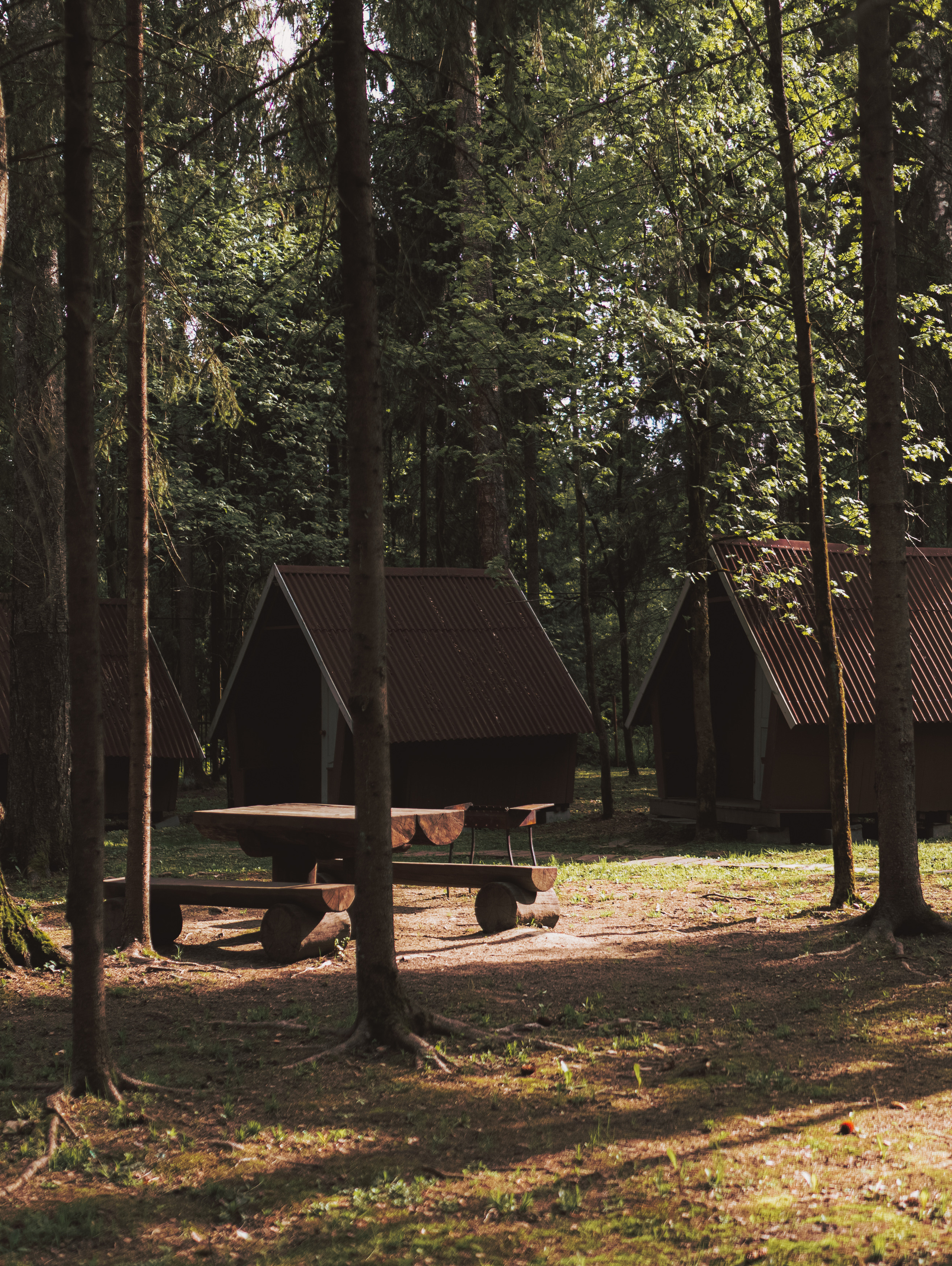 База отдыха. Свадебный фотограф в Москве Кристина Чехова