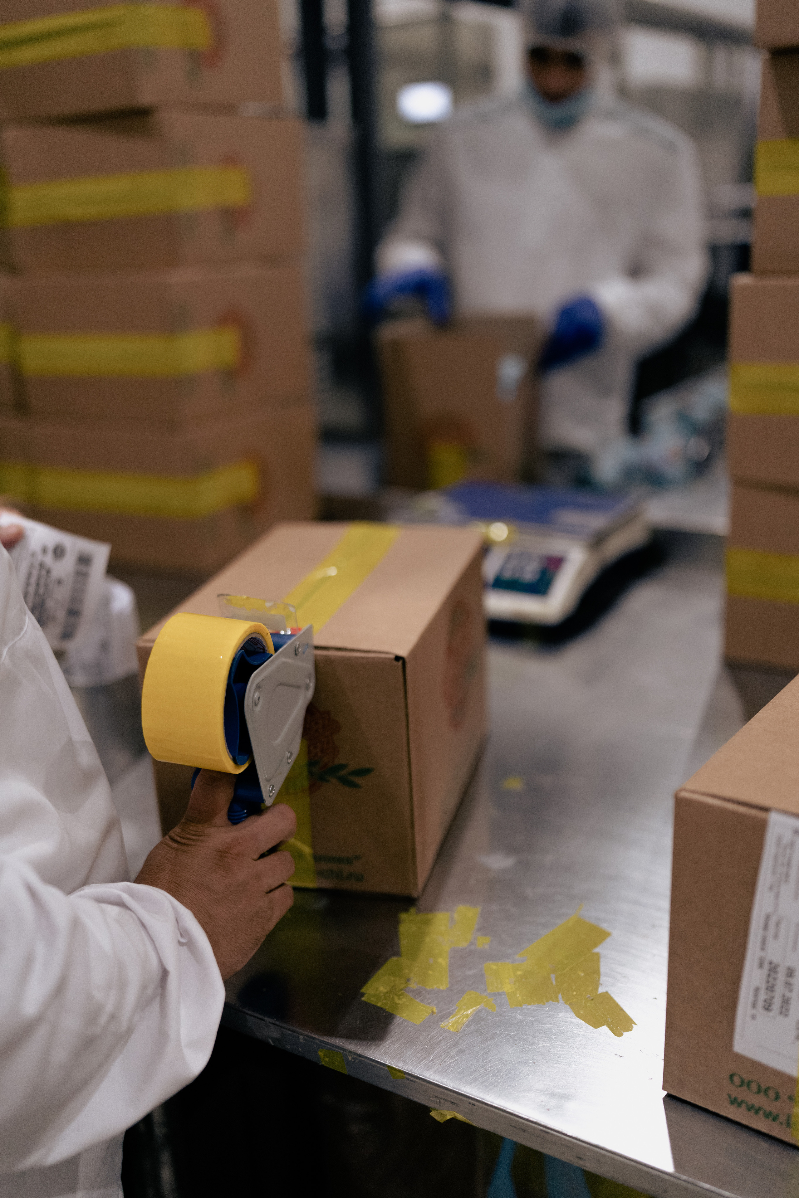 Чистая линия. Свадебный фотограф в Москве Кристина Чехова