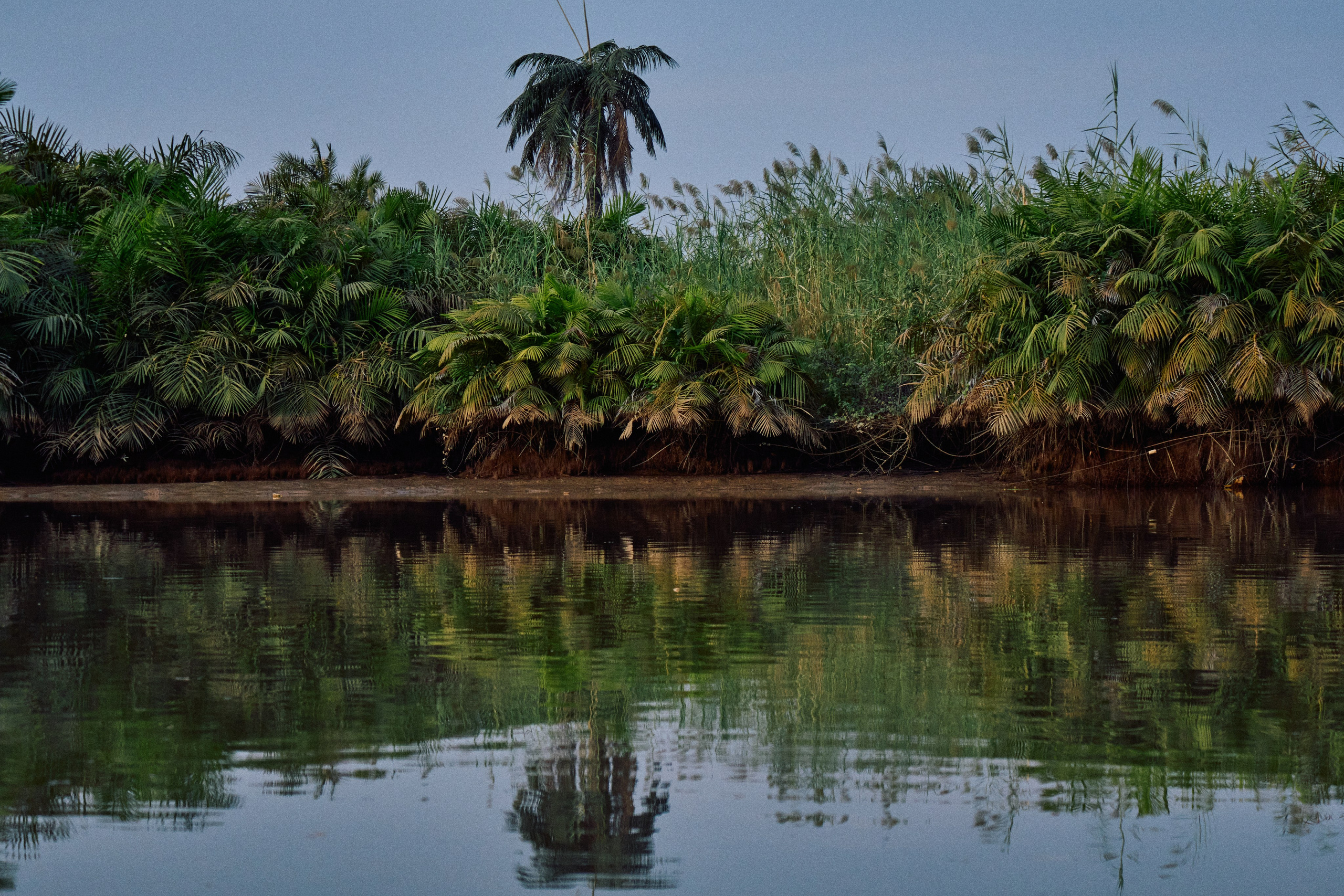 Gambia River. See the moment and catche. commercial and reportage
