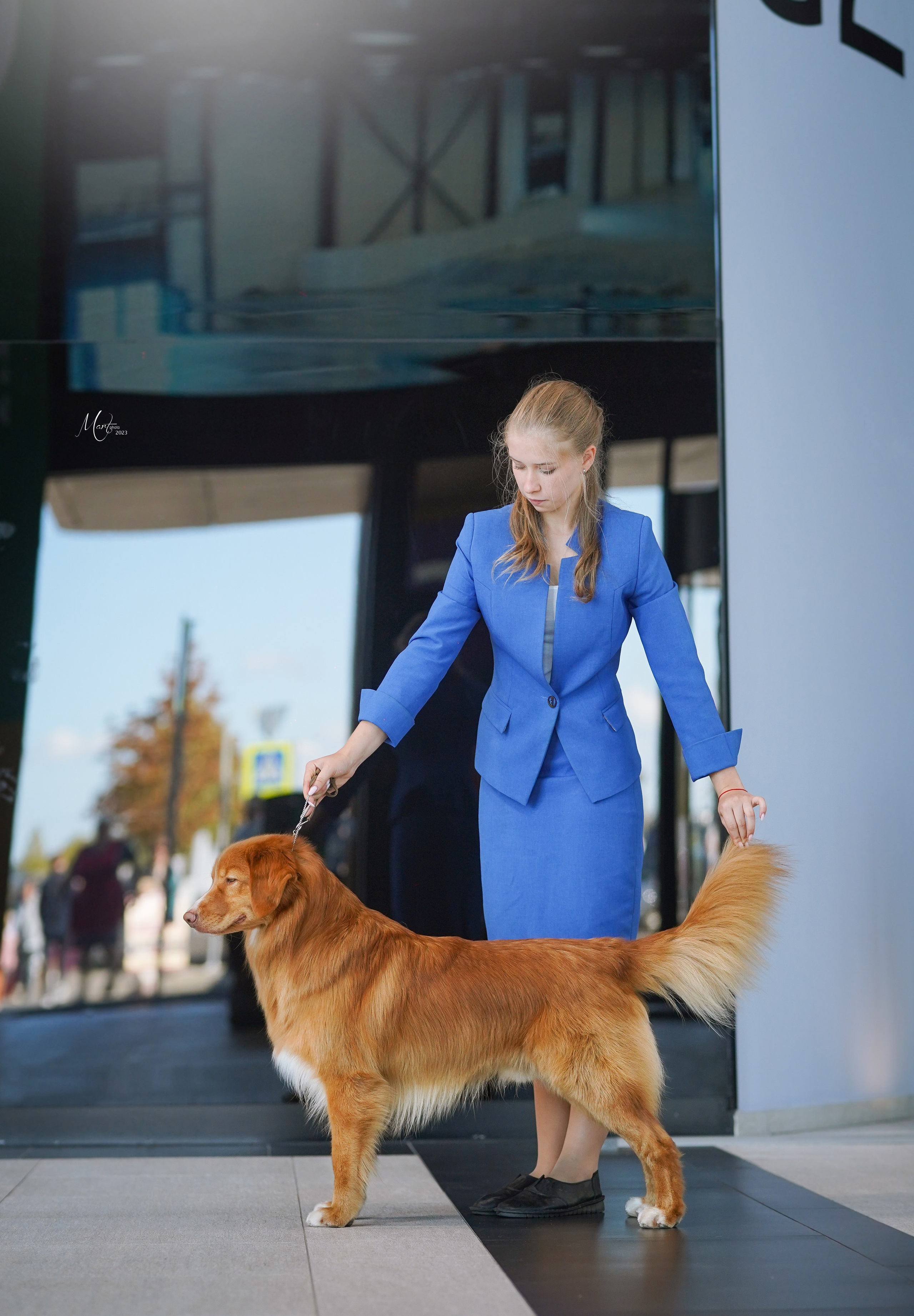 Выставки 2023. Фотограф-анималист в Санкт-Петербурге Яна Мартынова