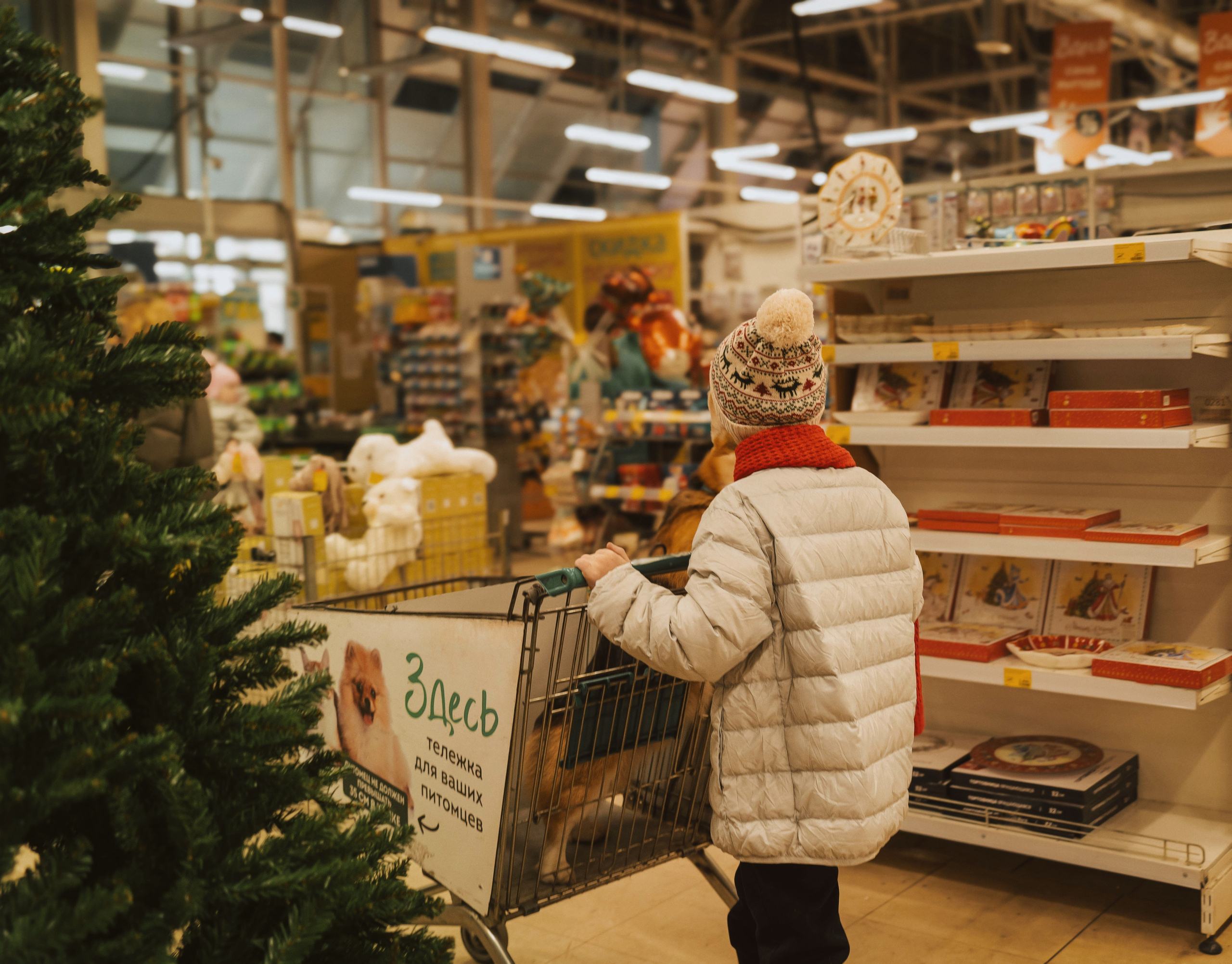 Один дома. Семейный фотограф анималист г. Находка