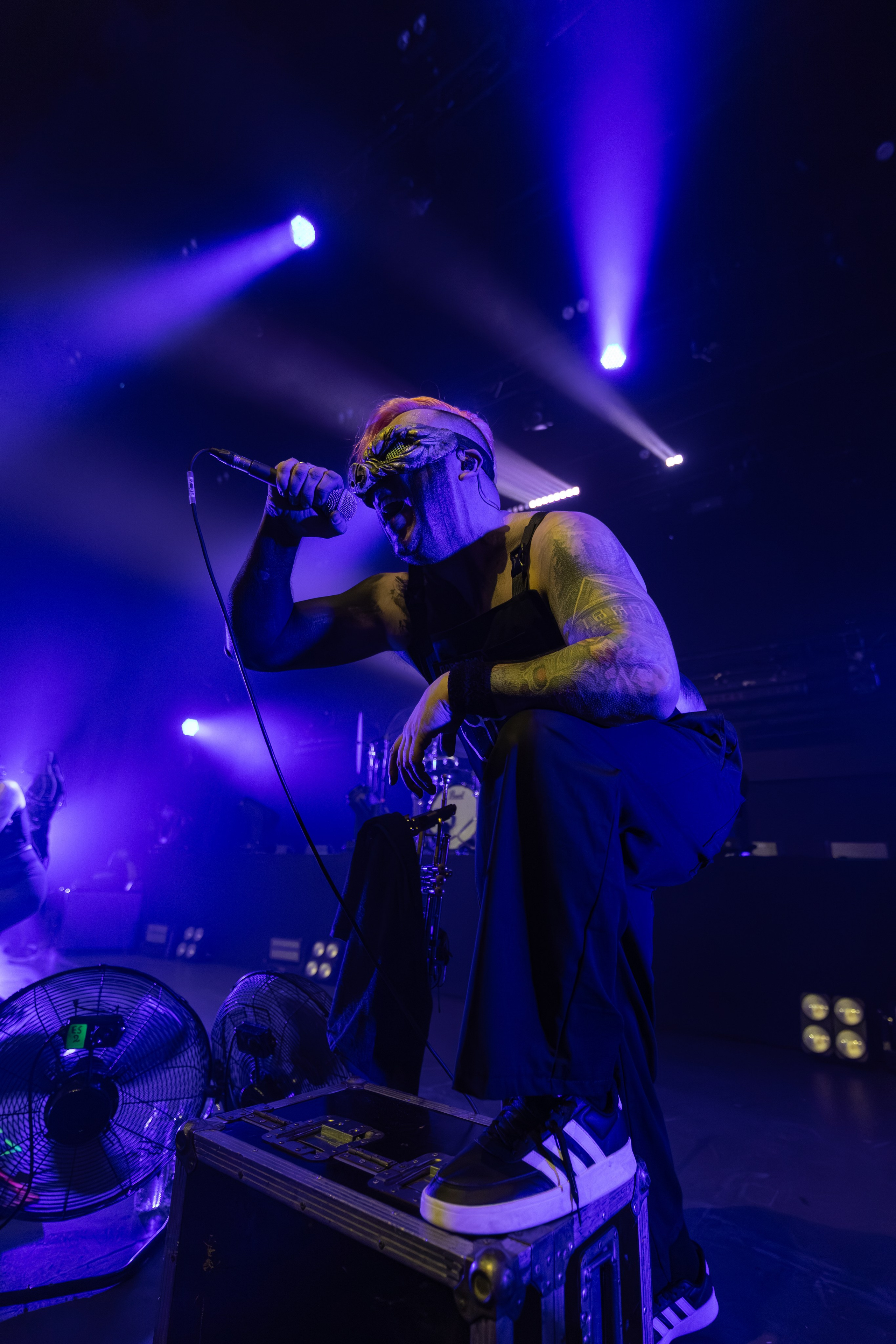 Пневмослон. Санкт-Петербург. Клуб Base. Концерт пневмослона в санкт-петербурге. спб. 2026