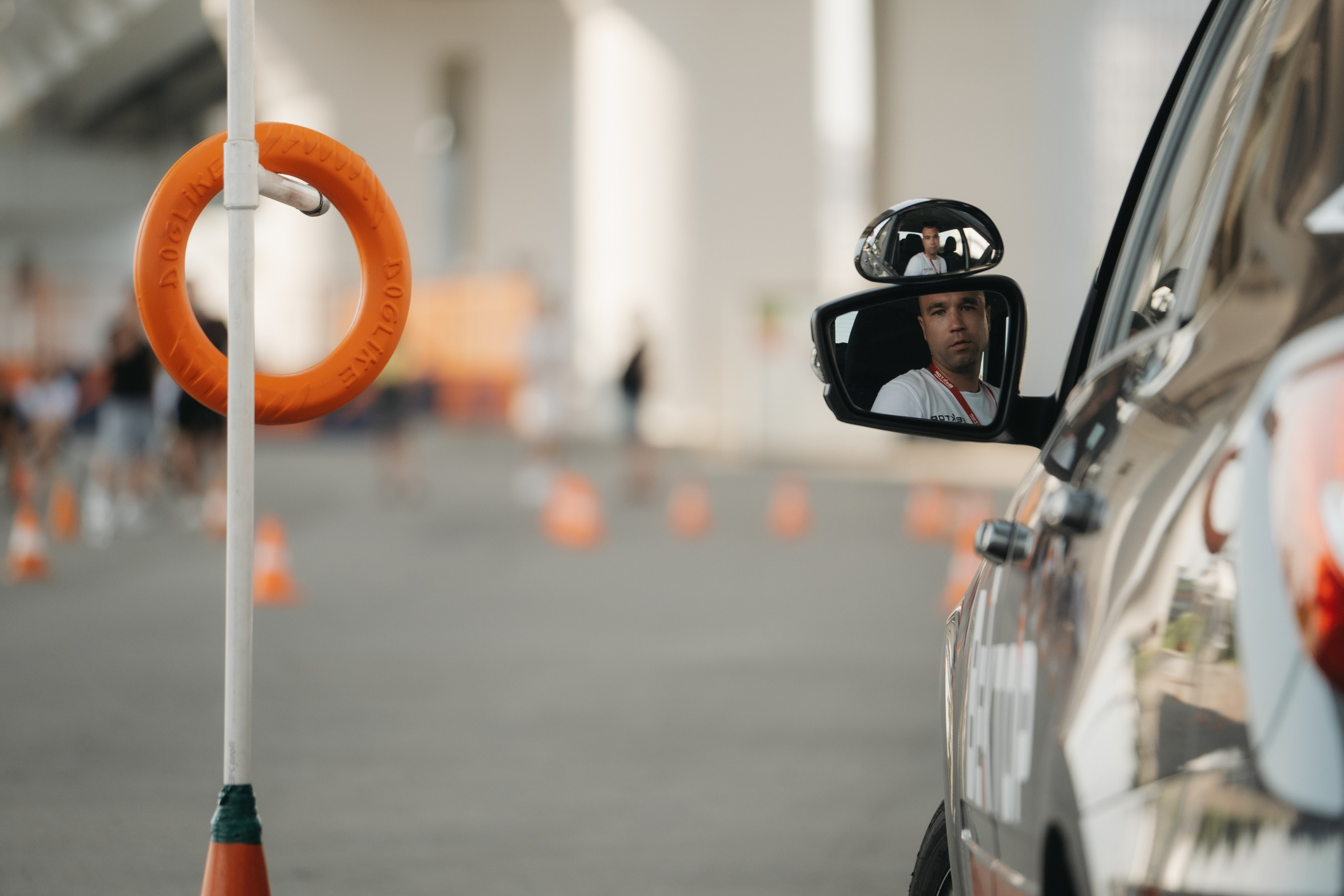 VECTOR FEST. Обо мне