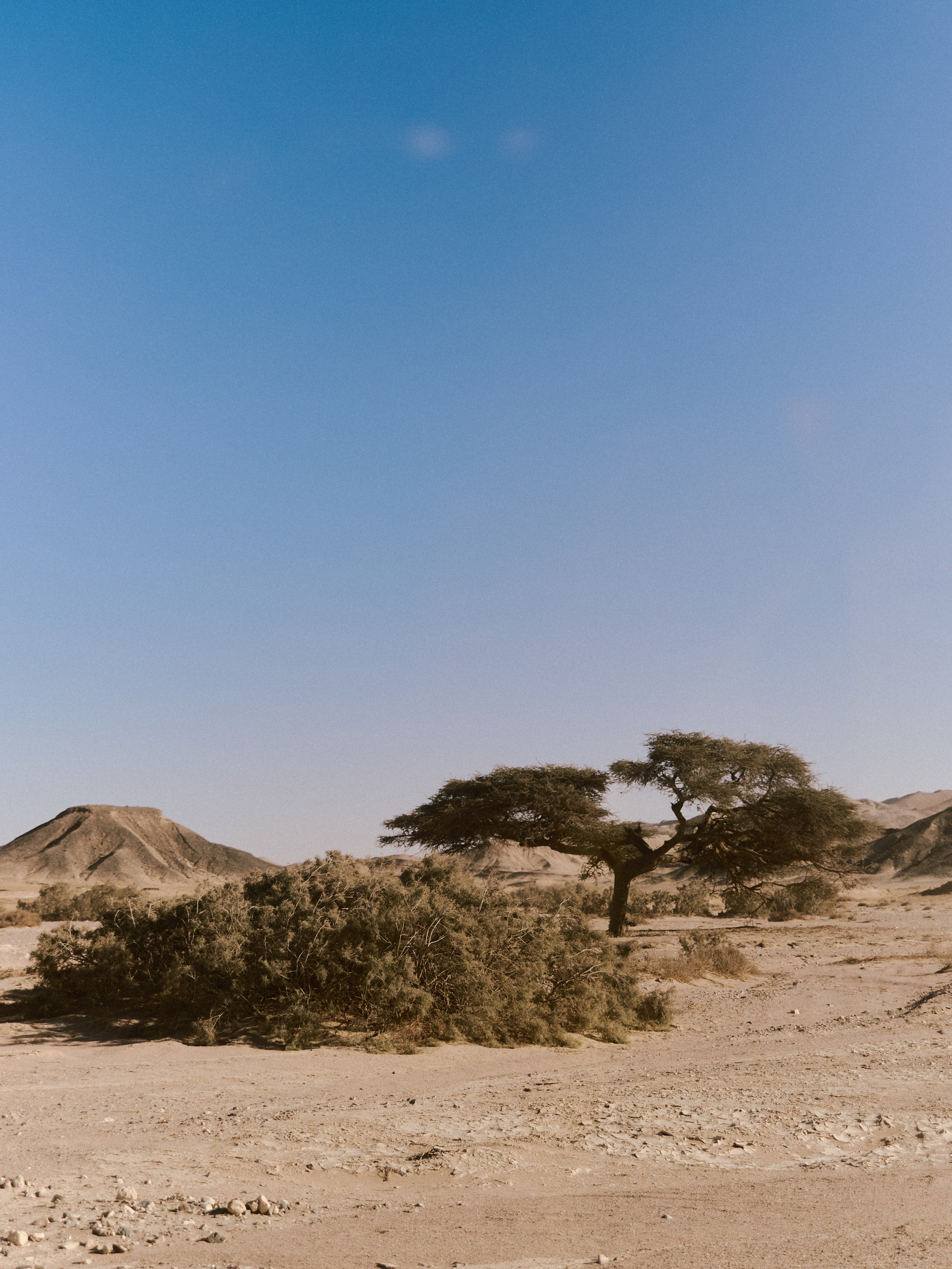 Природа. Jorgis Talè — photographer, kind person, teacher of arts and other mag