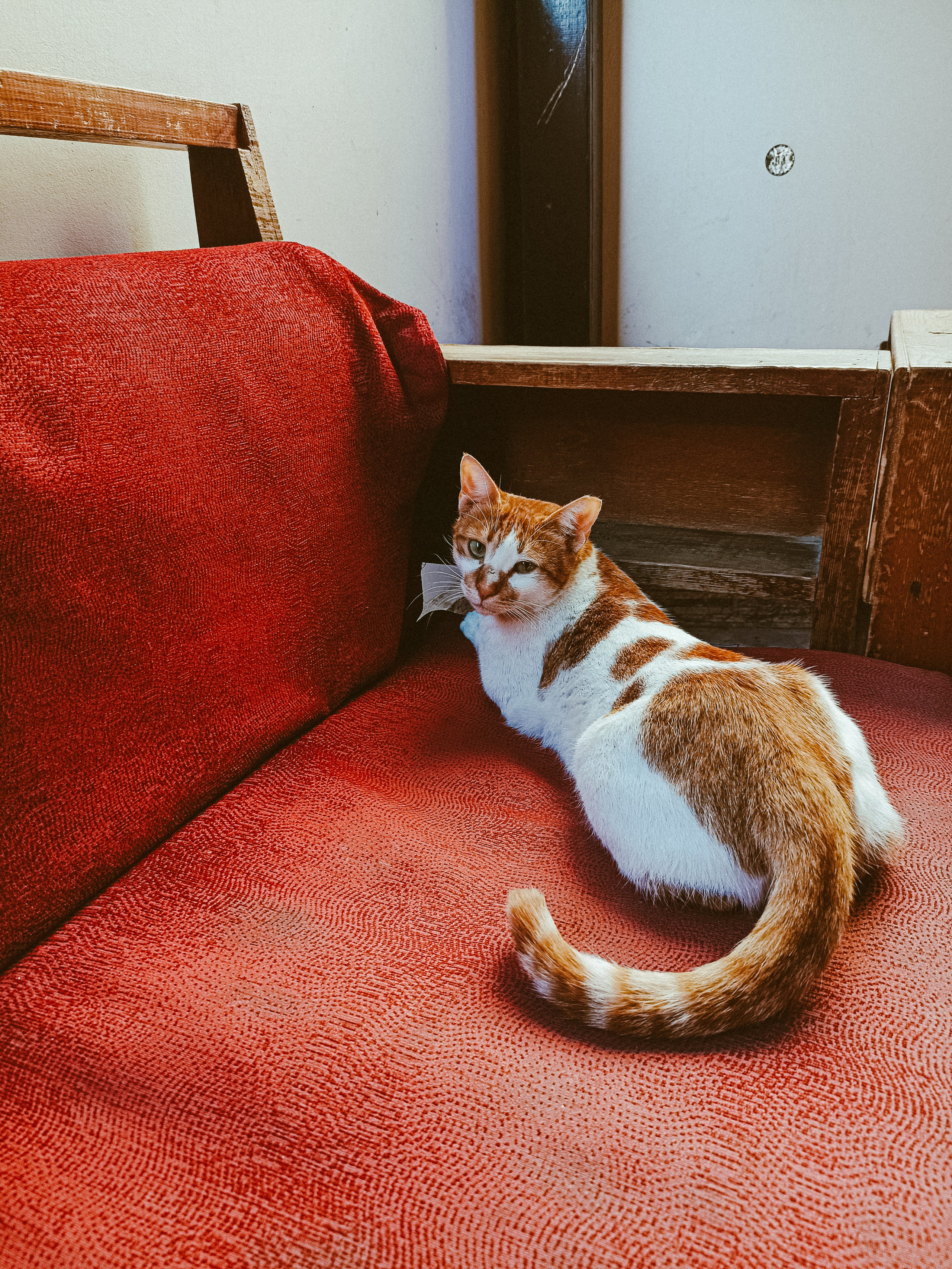 Мобильная. Jorgis — фотограф в Хургаде / обучение фотографии