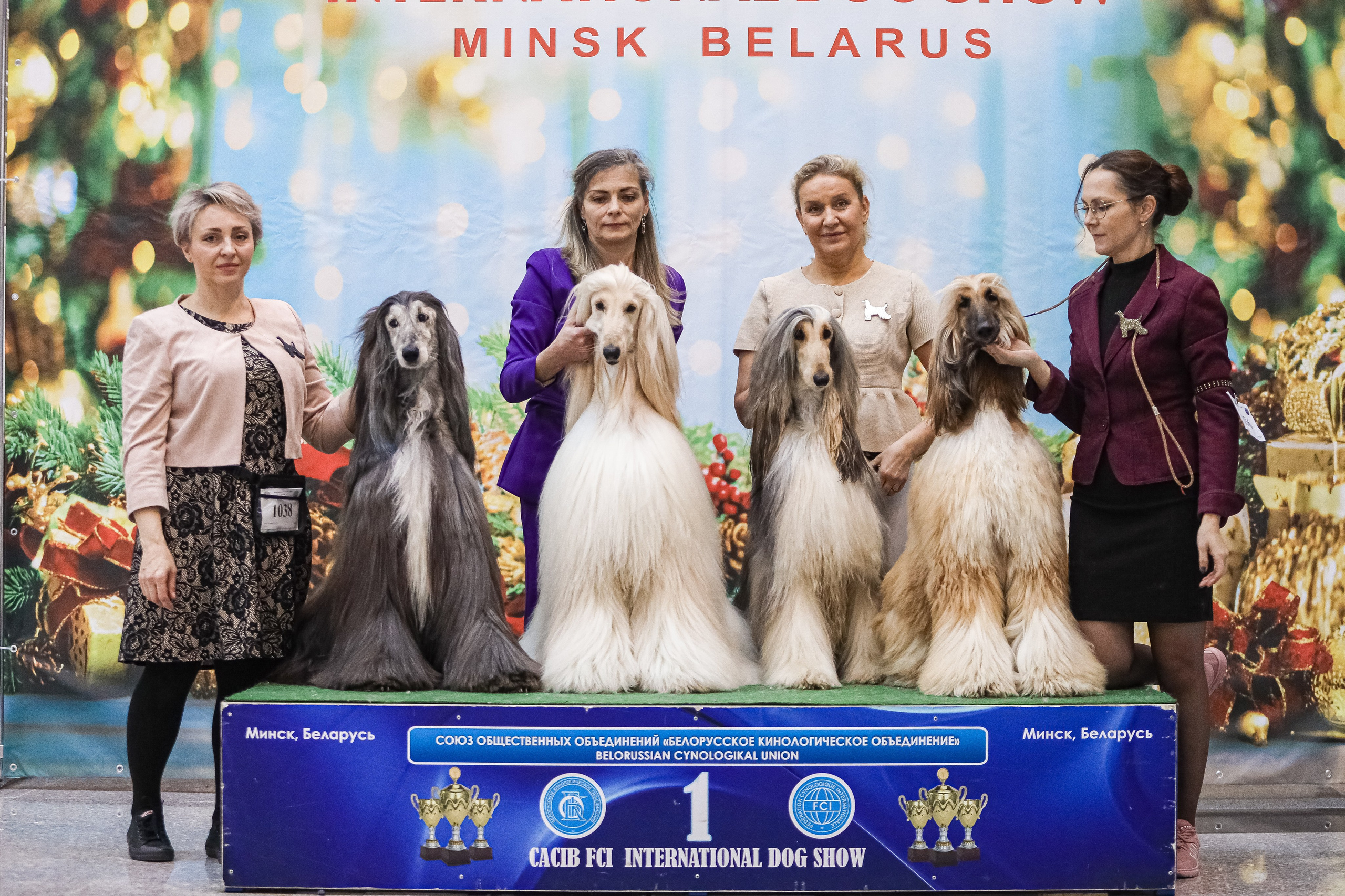 Международная выставка собак СACIB FCI 29-30.11.2025. Галерея фотографий афганской борзой