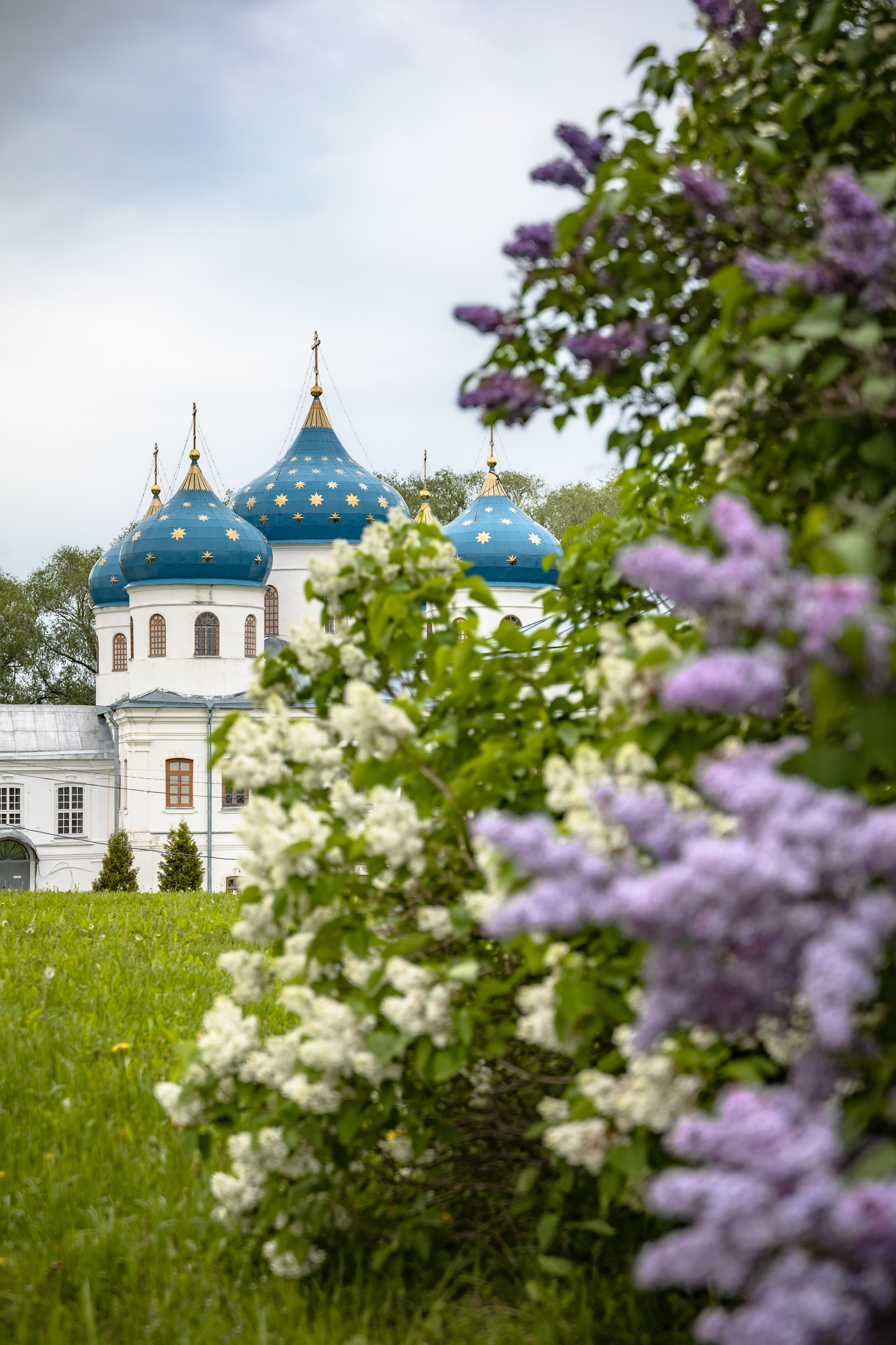 TRAVEL&NATURE. NE Cinema — backstage and reportage photography in cinema, music, Automotive and sport