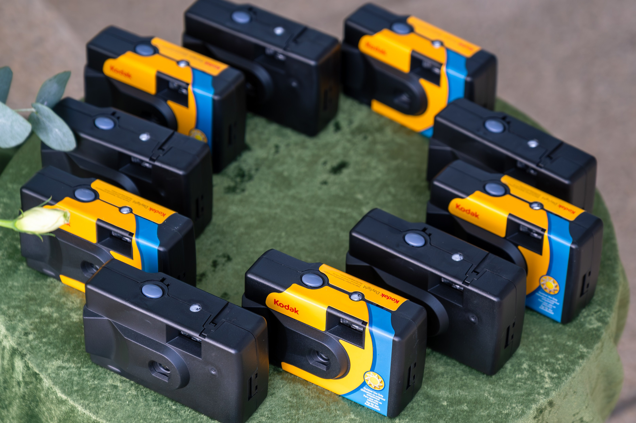 E&E Wedding. Photo & Video production, in Bishkek, Kyrgyzstan