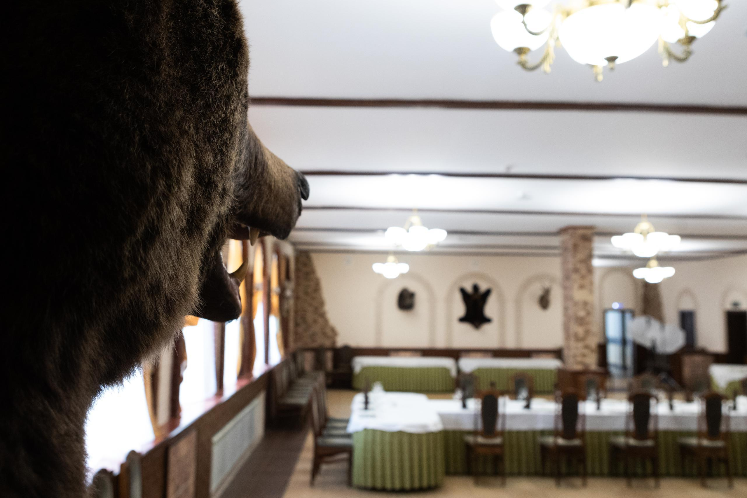 Банкетный зал санатория Зелёная Роща. Алексей Муравьёв — фотограф в Уфе