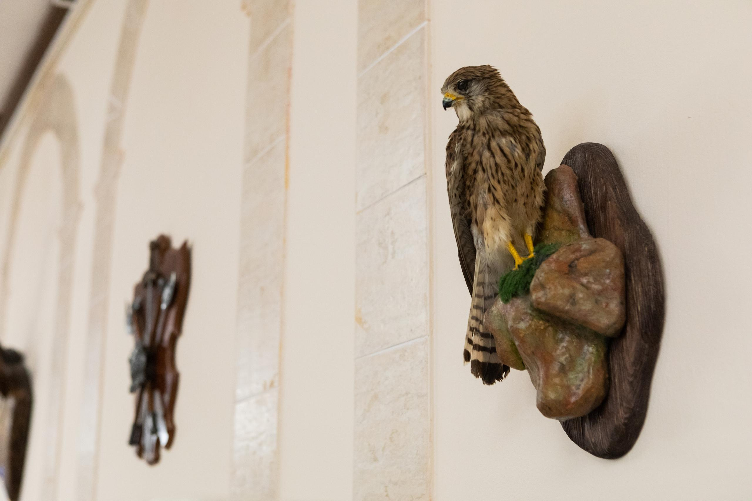 Банкетный зал санатория Зелёная Роща. Алексей Муравьёв — фотограф в Уфе