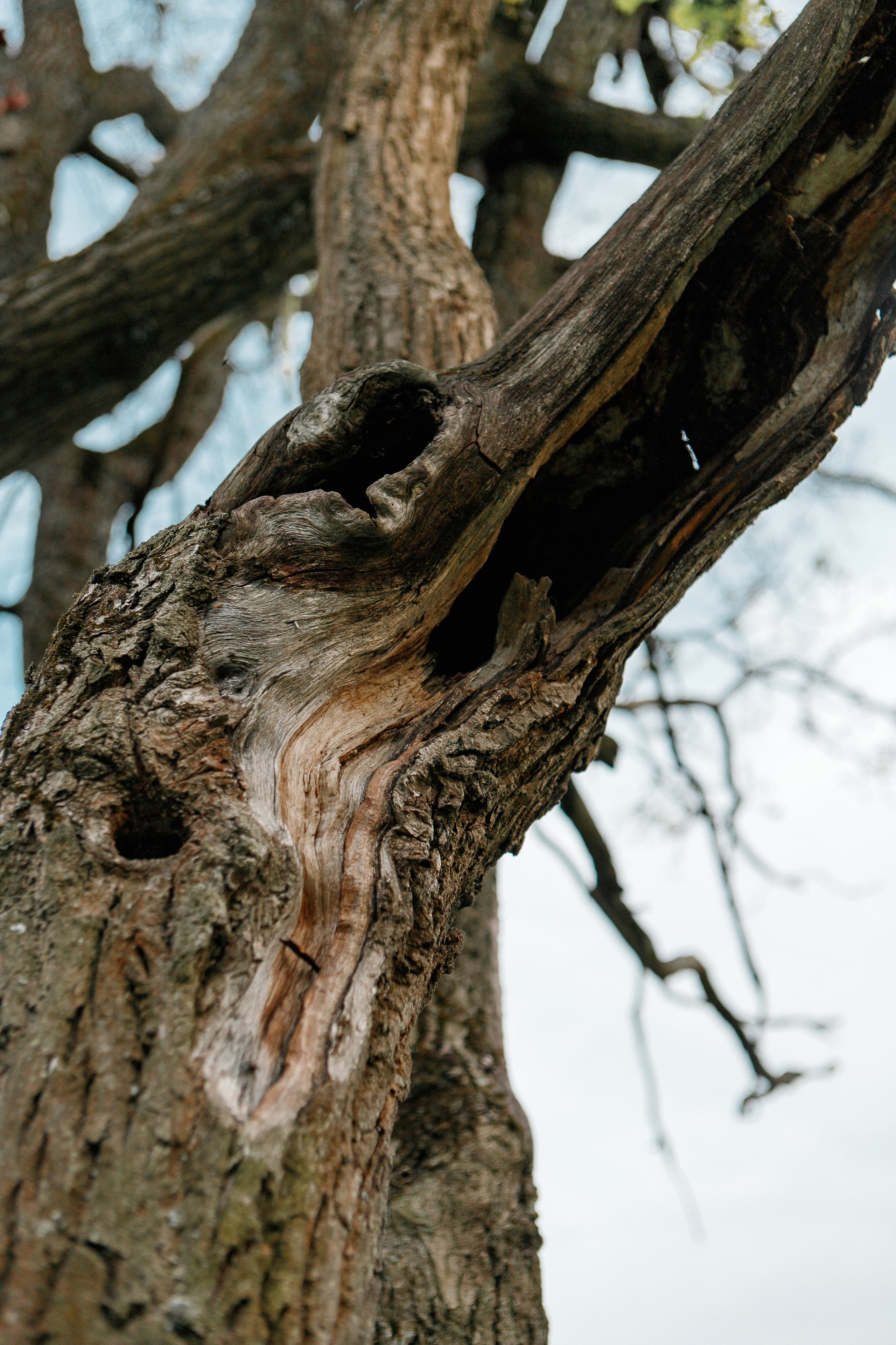 Екатерина. Фотограф Анастасия Кулешова