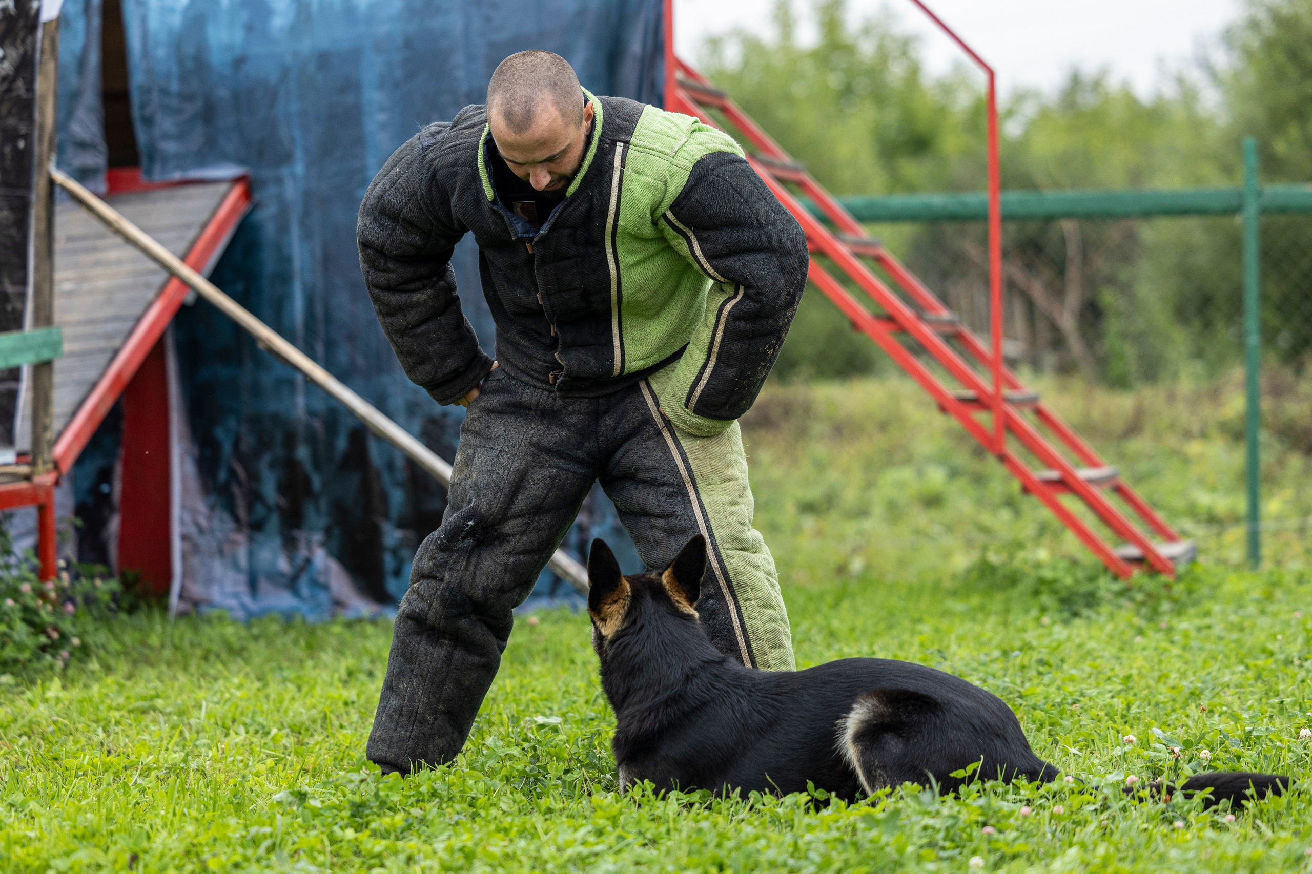 Соревнования по Мондьорингу г. Вологда 10-11.08.2024. Фотограф-анималист Анна Маринич