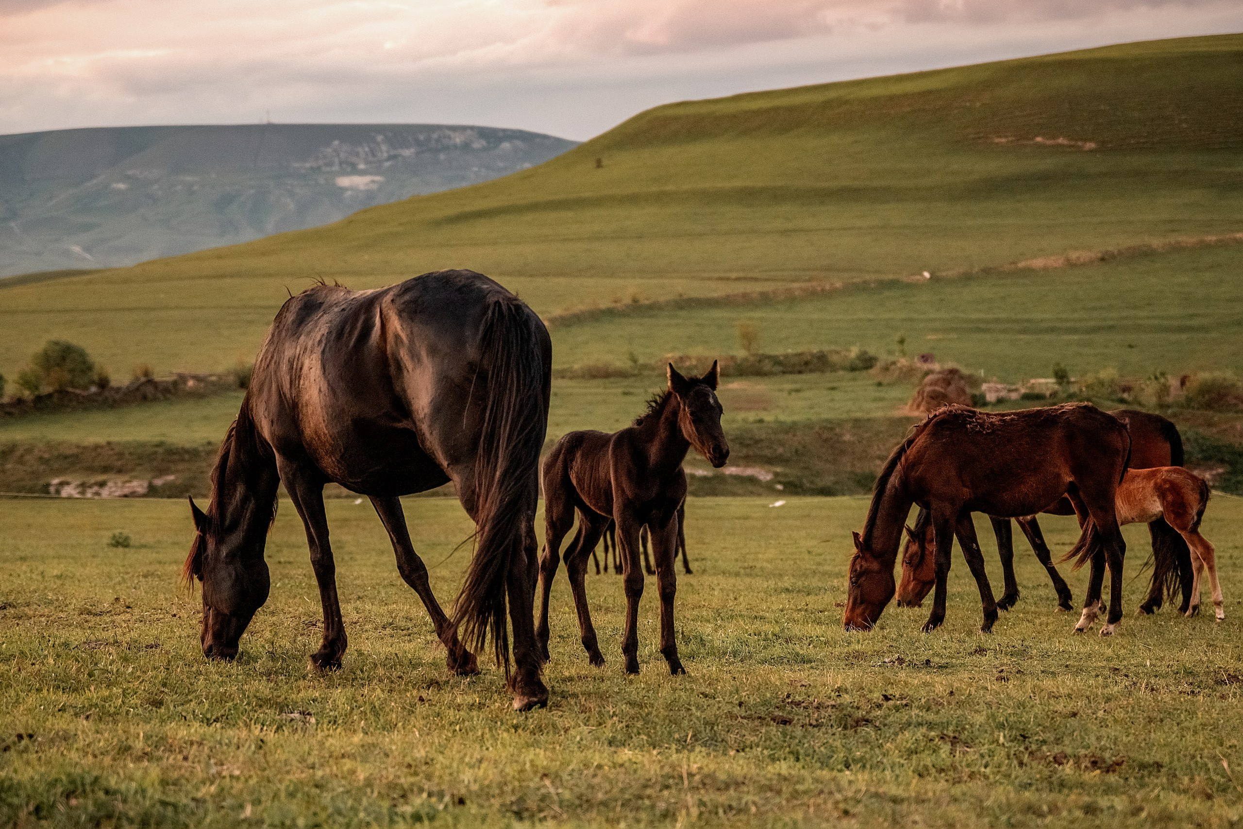 Майское закатное. BrisArts
