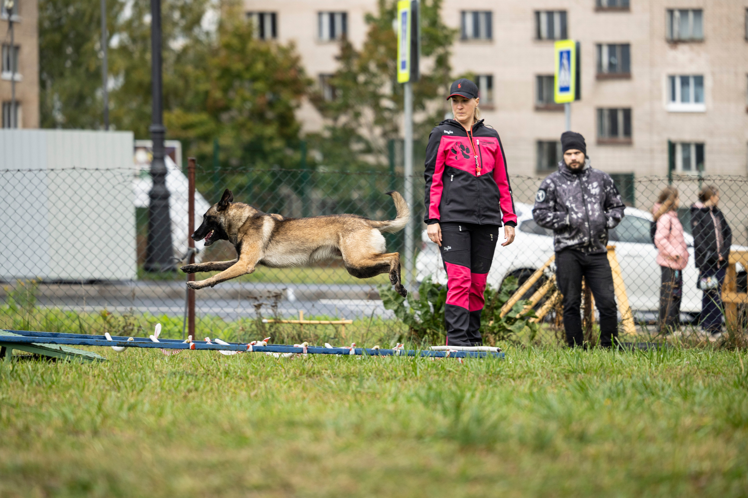 Испытания по Мондьорингу г. Пушкин. Фотограф-анималист Анна Маринич