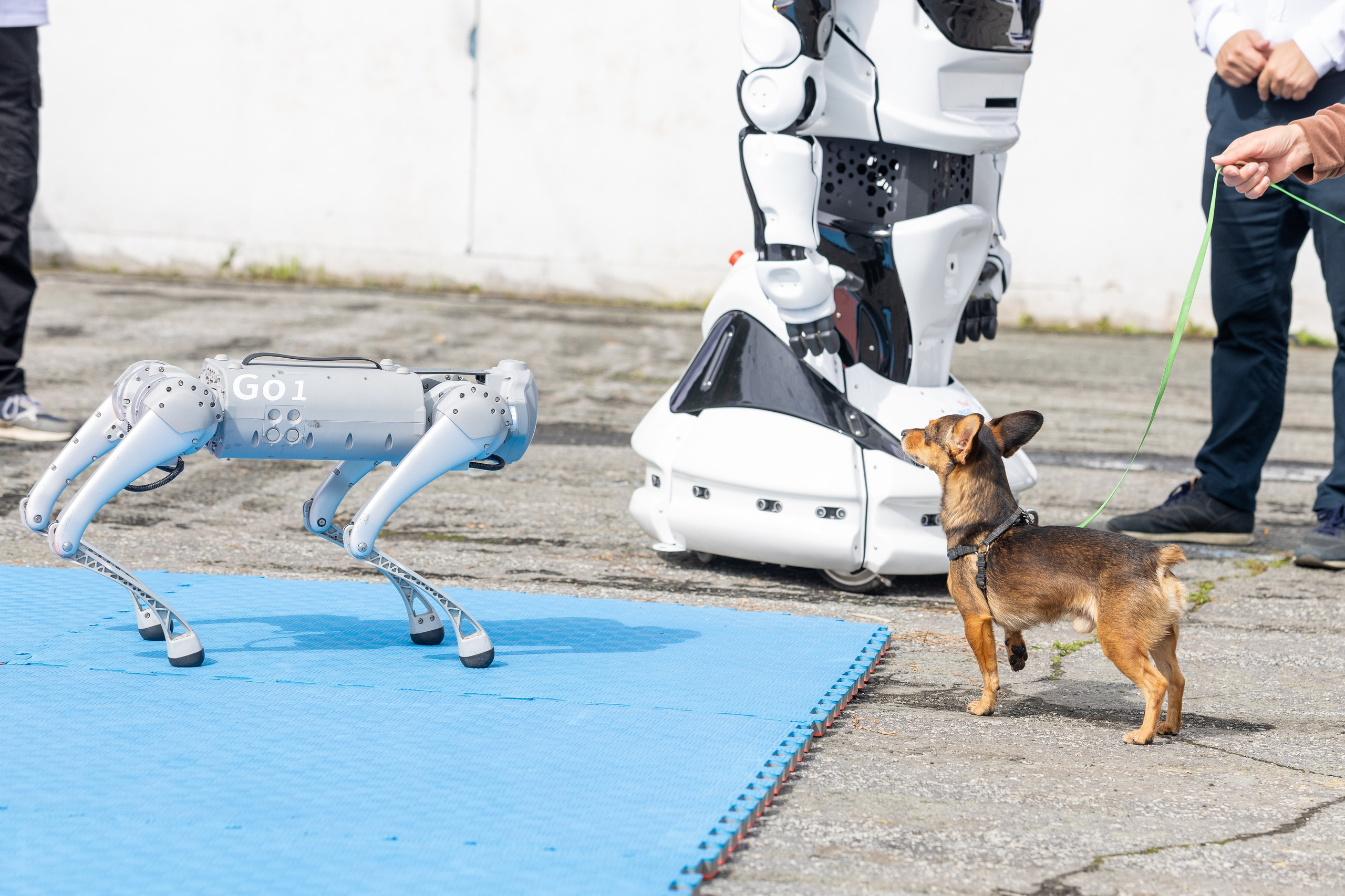 Фото и видео бизнес-проектов. Свадебный, семейный видеограф и фотограф в Екатеринбурге Николай Рыков