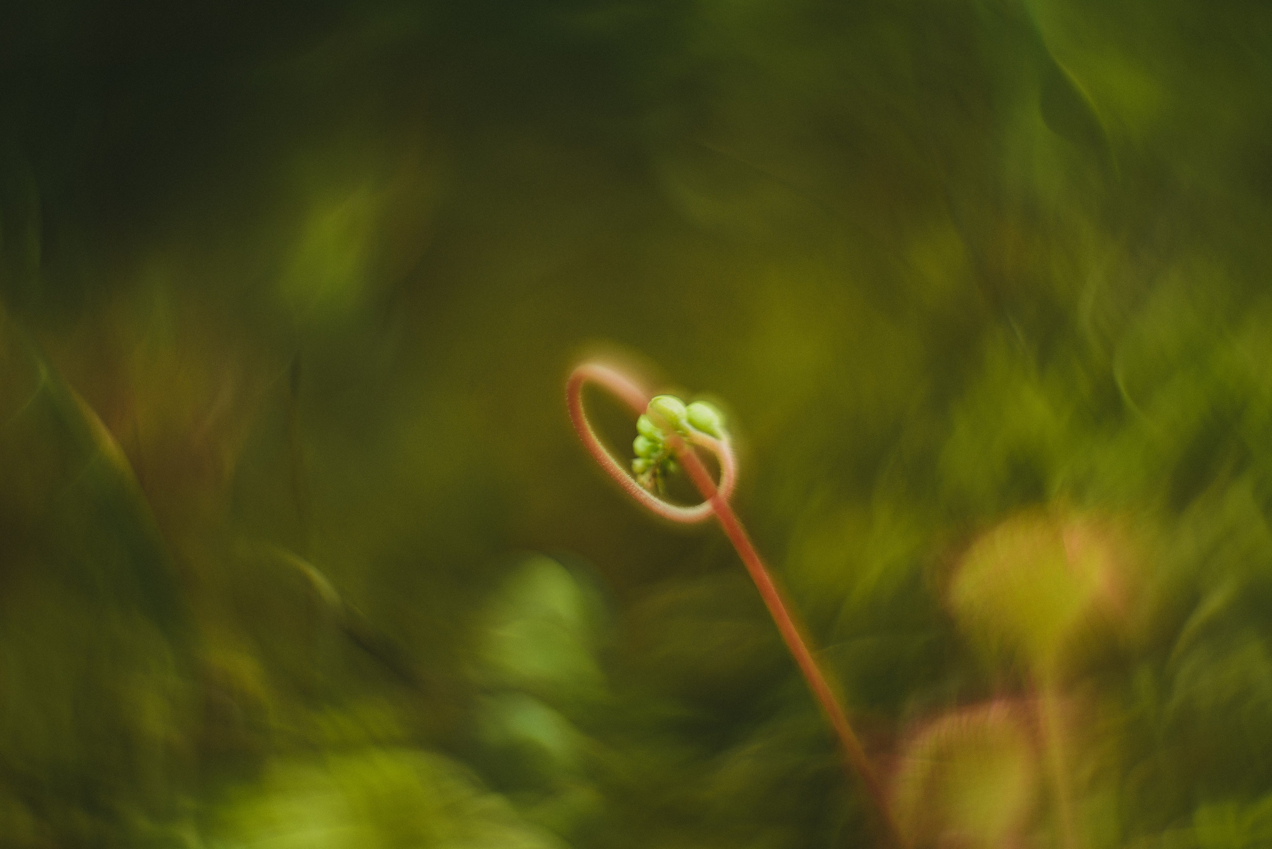 Фотопленэр на болоте. Фотообъединение Самарского областного отделения Союза журналистов России