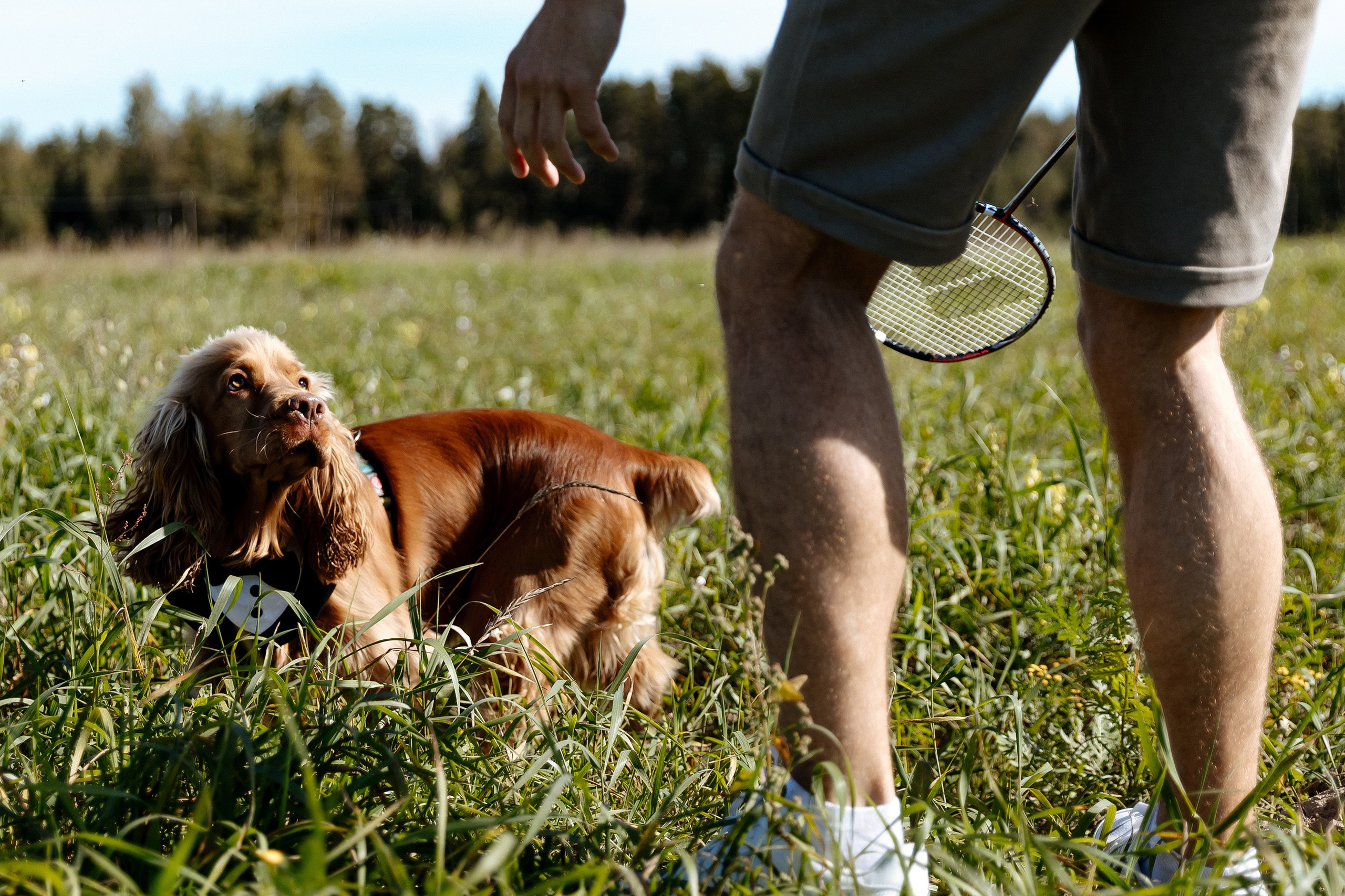13 сентября WED. Свадебный фотограф Анастасия Пелевина