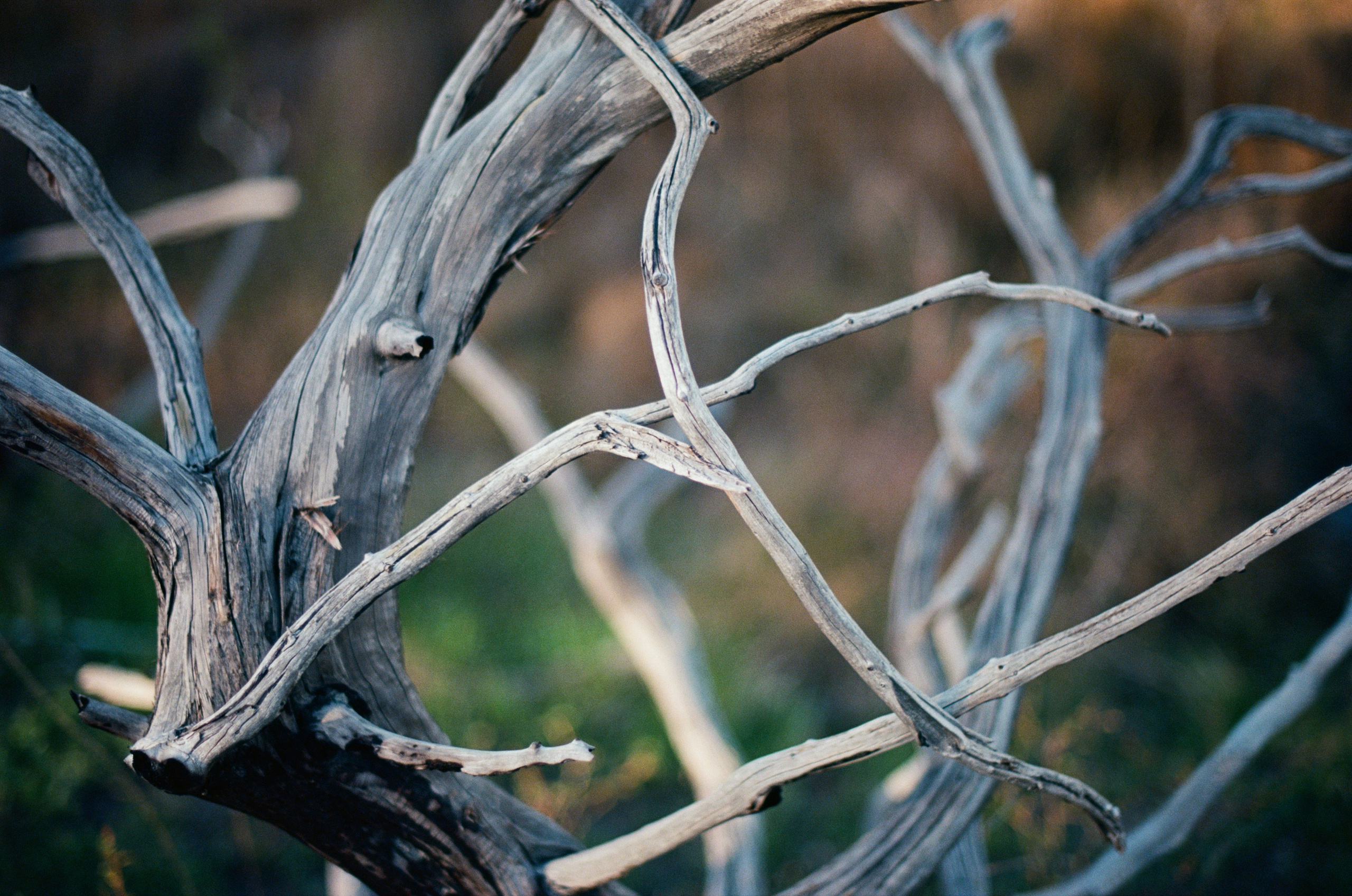 Follow you // ukraine, crimea II. EVER EXPOSED