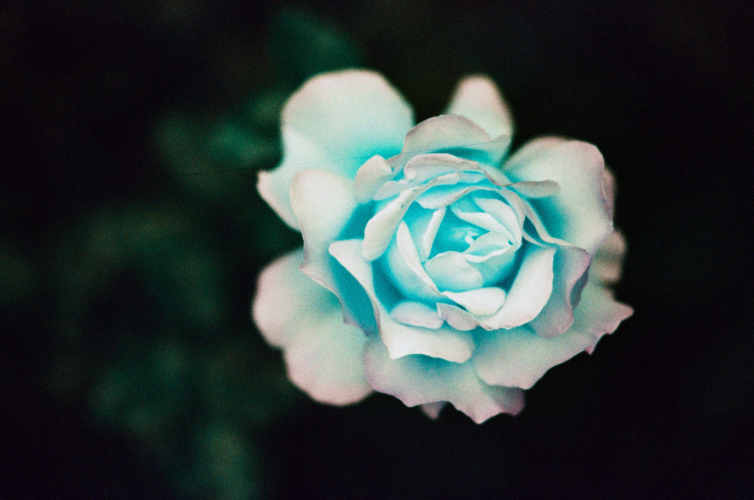 Pain shopping // ukraine, crimea III. EVER EXPOSED