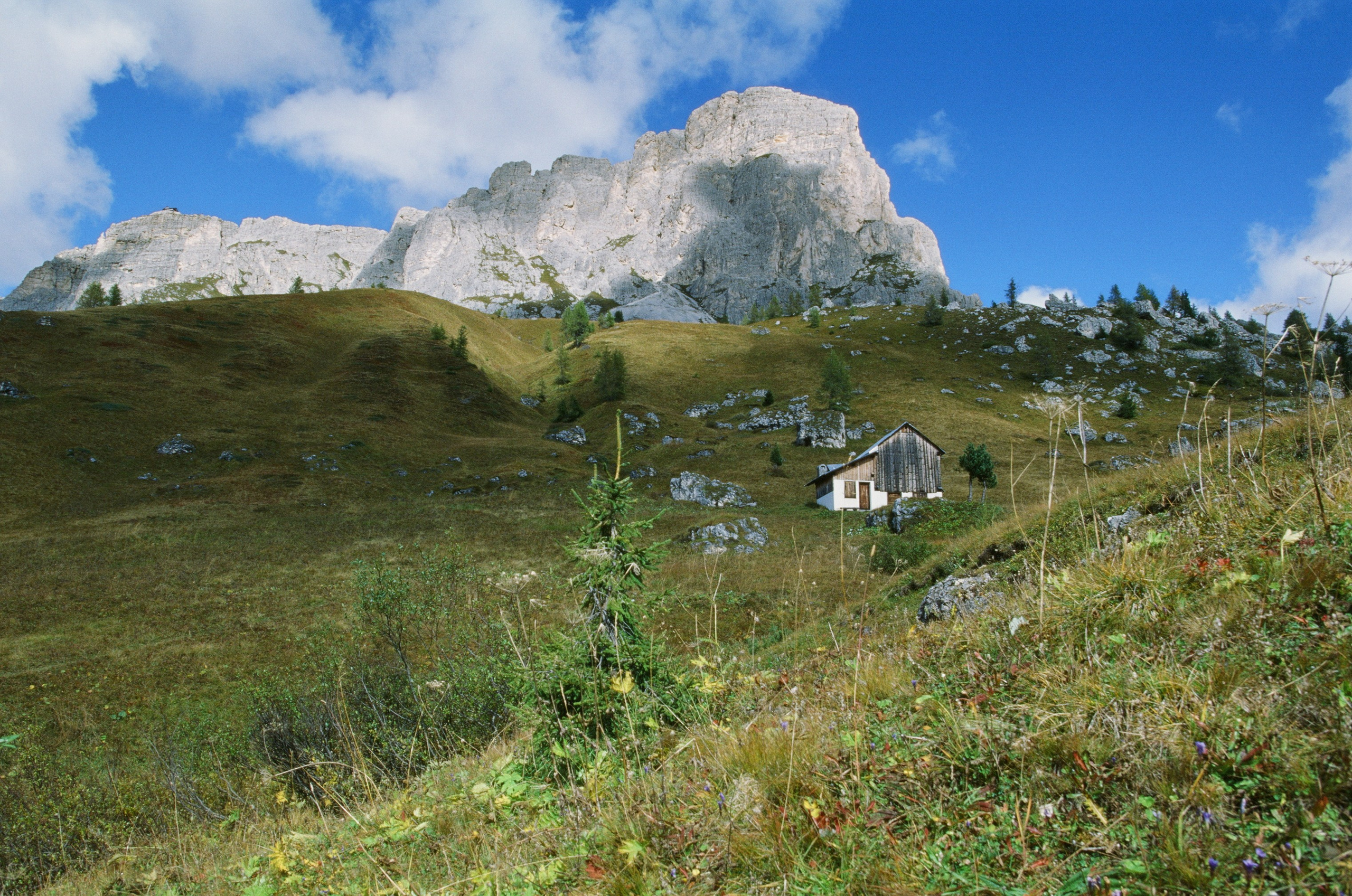 Wasted // italy, dolomites. EVER EXPOSED